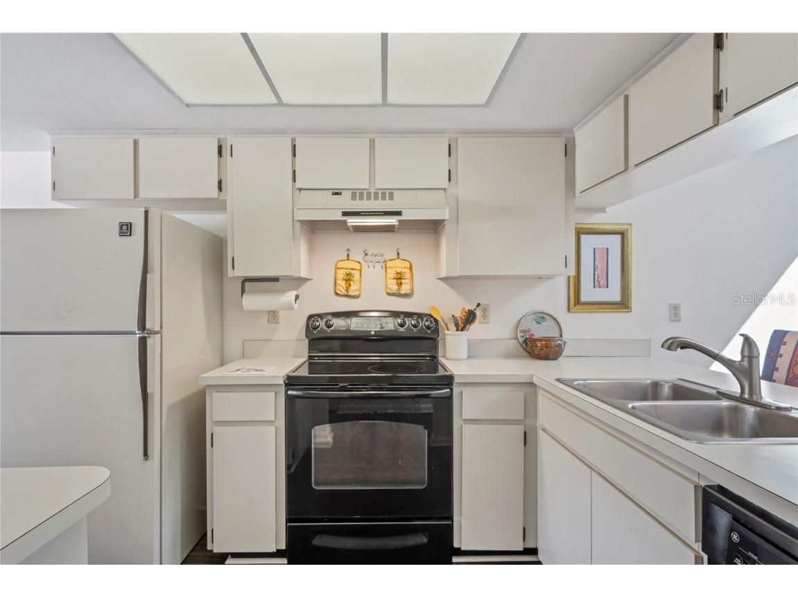 9218 Championship Lane #3 New Port Richey FL 34655 W7880182 image5