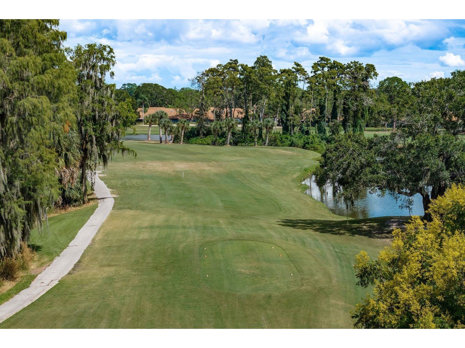 9218 Championship Lane New Port Richey FL 34655 W7886549 image27