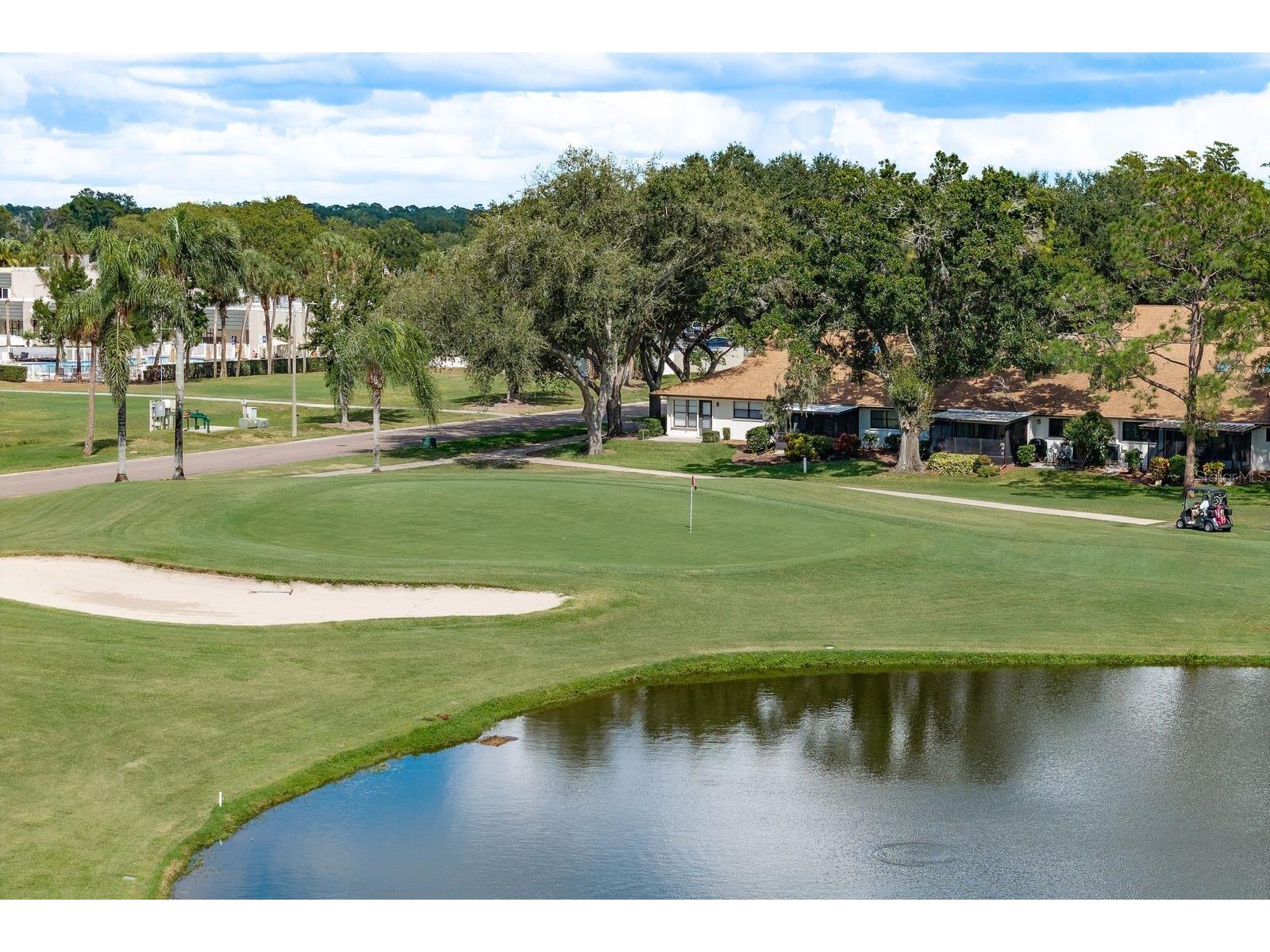 9218 Championship Lane New Port Richey FL 34655 W7886549 image30