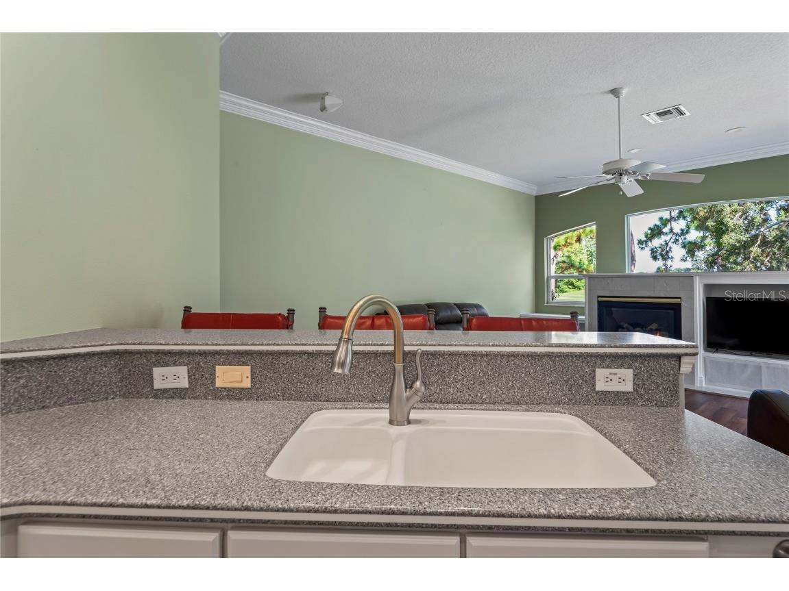 9219 Grand Cypress Drive Weeki Wachee FL 34613 W7878490 image14