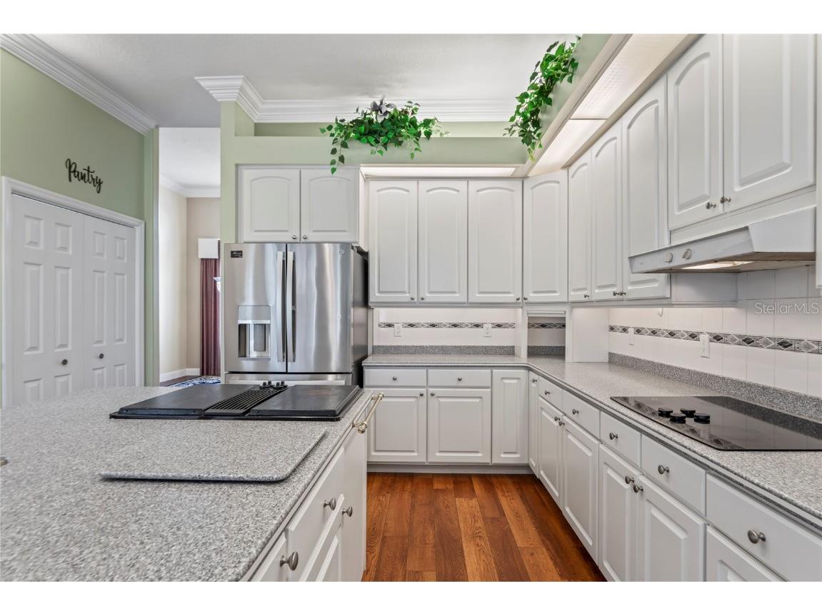 9219 Grand Cypress Drive Weeki Wachee FL 34613 W7878490 image17