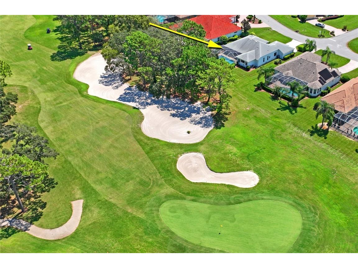 9219 Grand Cypress Drive Weeki Wachee FL 34613 W7878490 image69