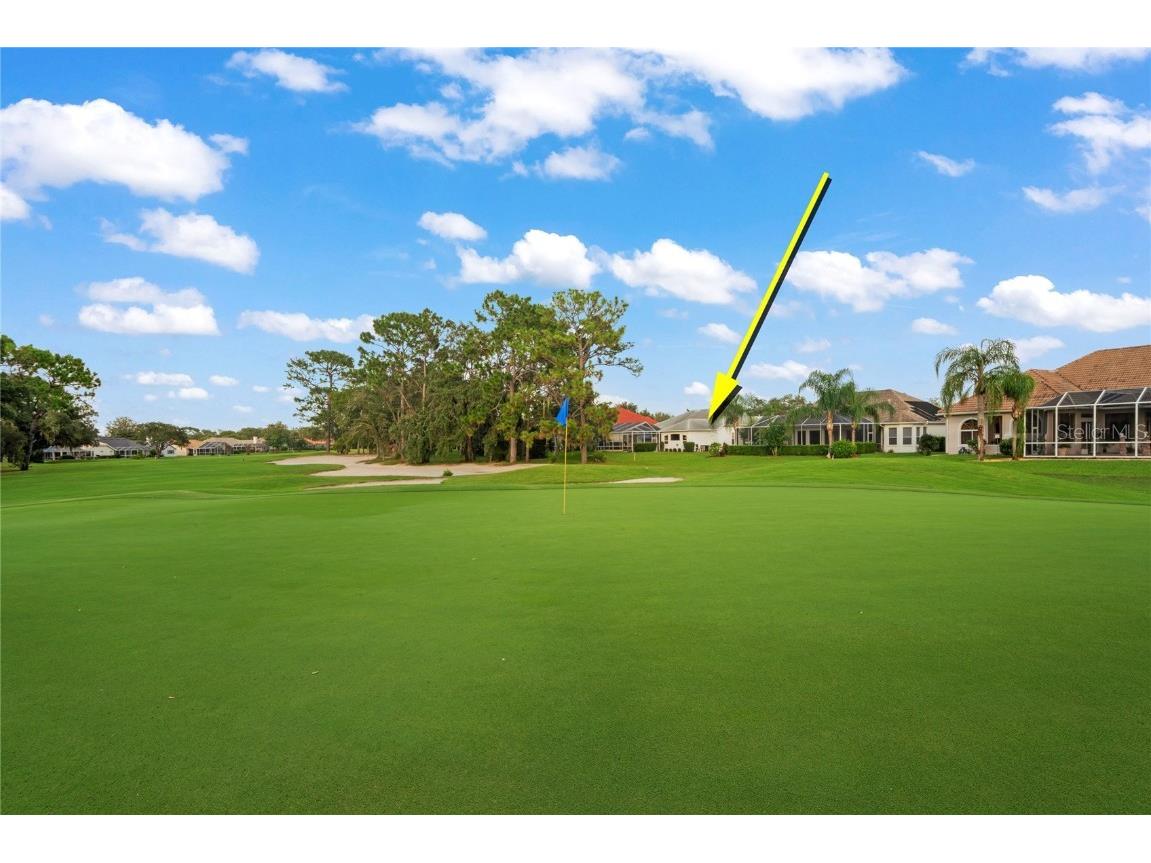 9219 Grand Cypress Drive Weeki Wachee FL 34613 W7878490 image71