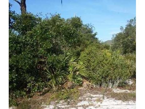 922 Aster Street FL 33862 TB8479067 image1