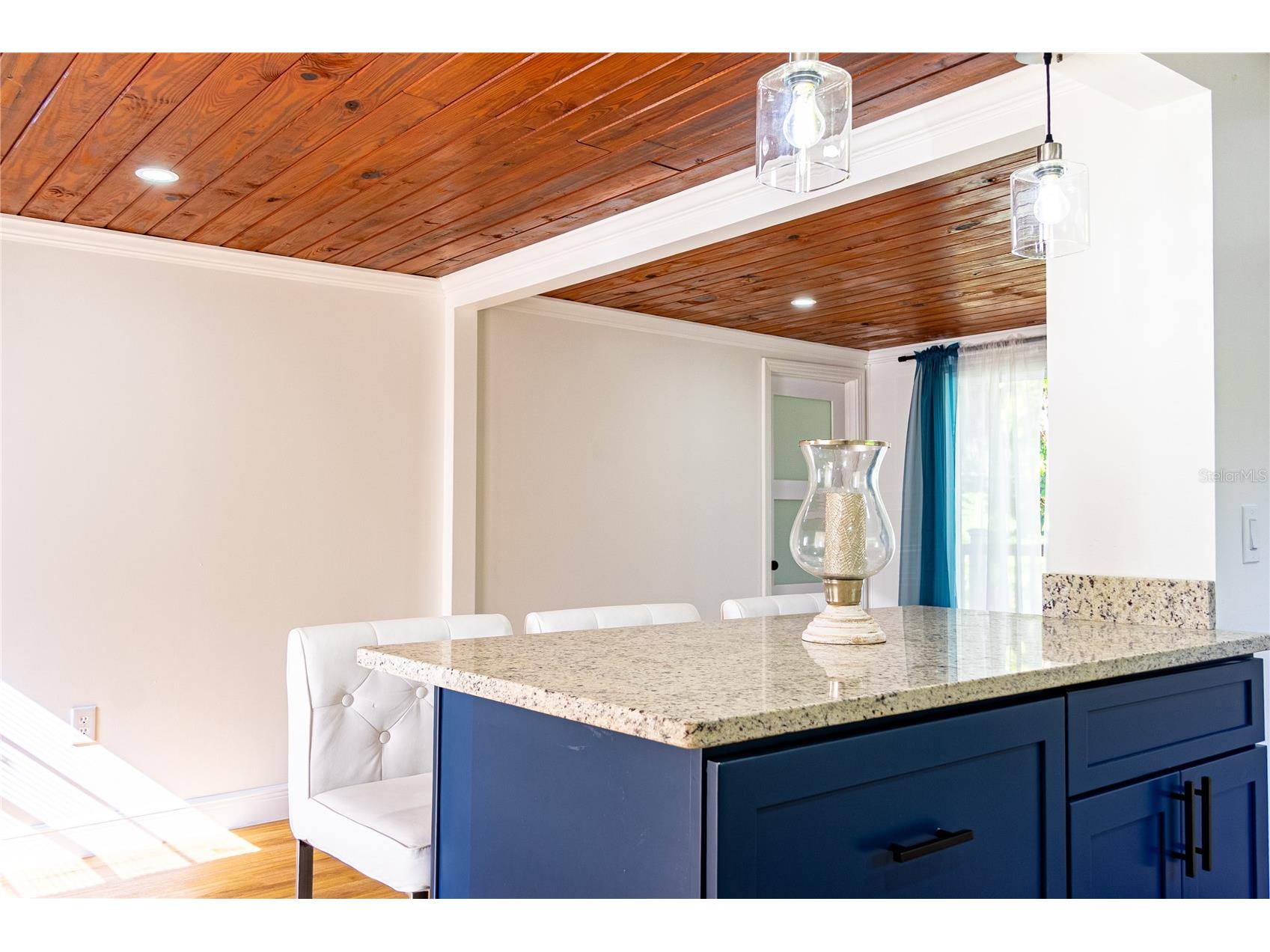 922 Cr 482a Lake Panasoffkee FL 33538 S5142780 image19