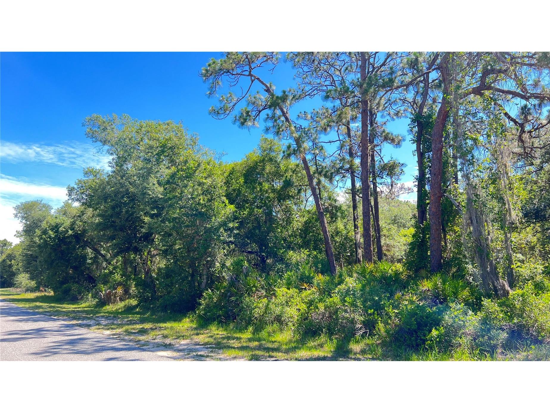922 Poinciana Drive Indian Lake Estates FL 33855 L4962587 image1