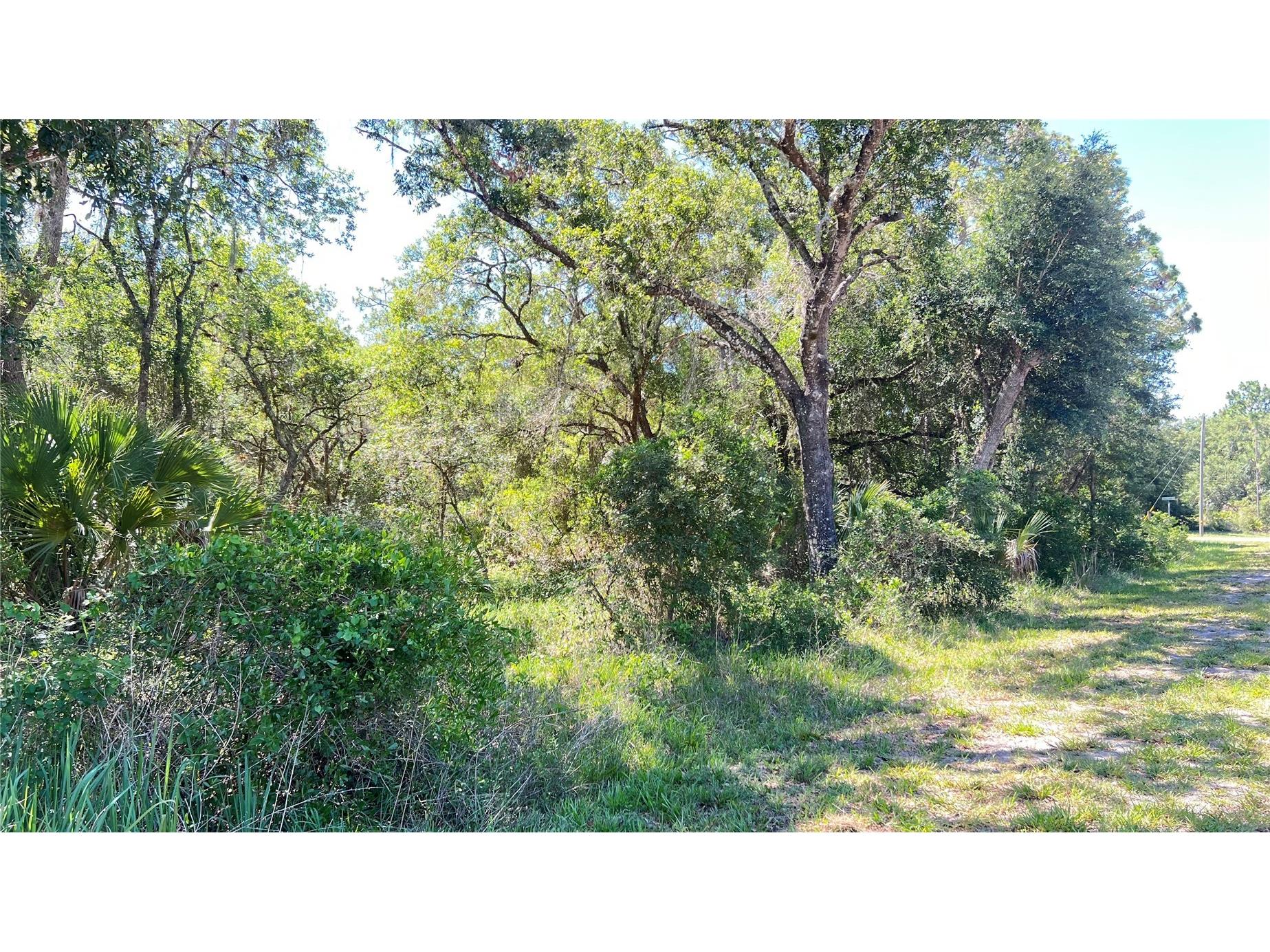 922 Poinciana Drive Indian Lake Estates FL 33855 L4962587 image6