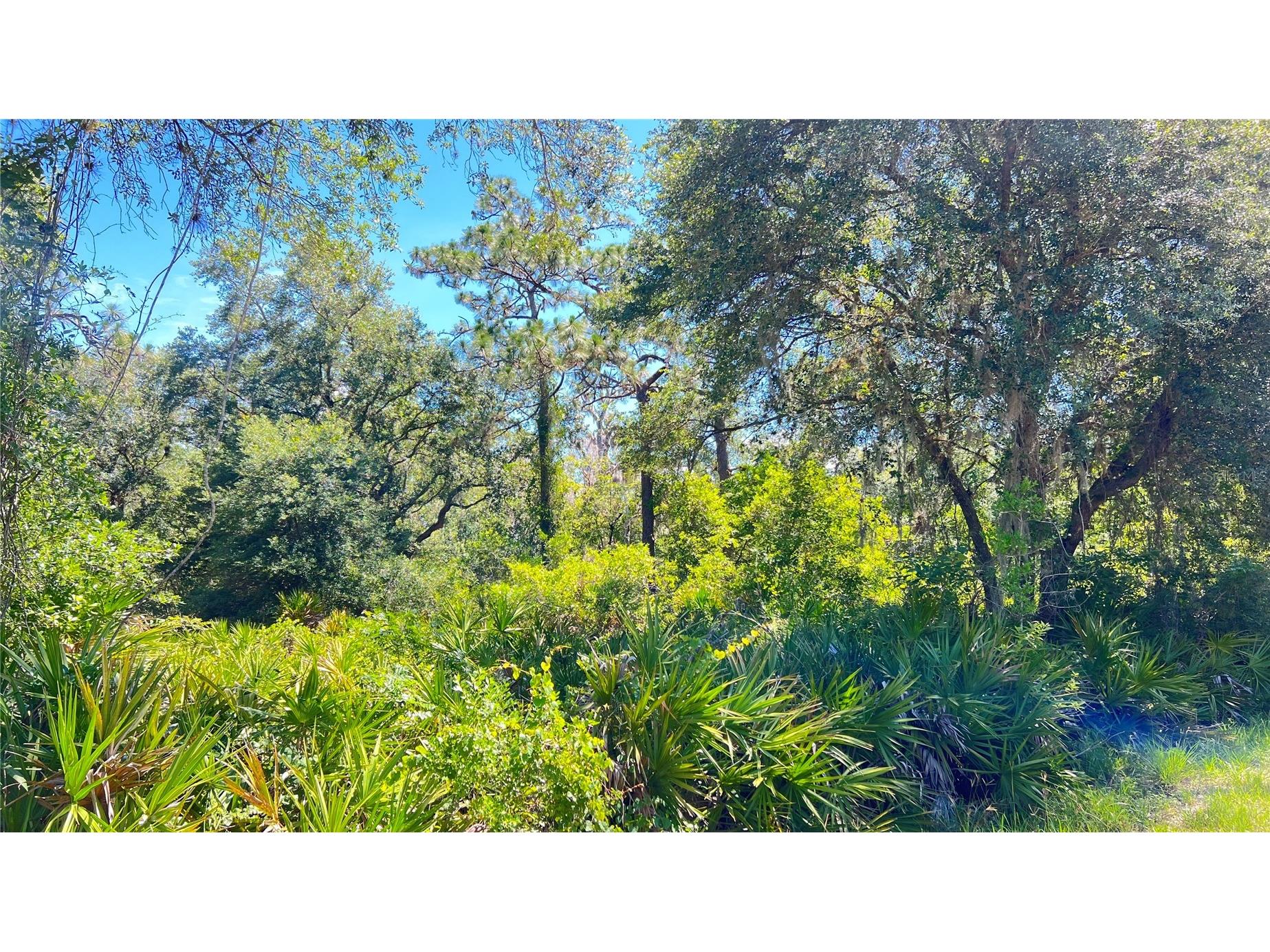 922 Poinciana Drive Indian Lake Estates FL 33855 L4962587 image8