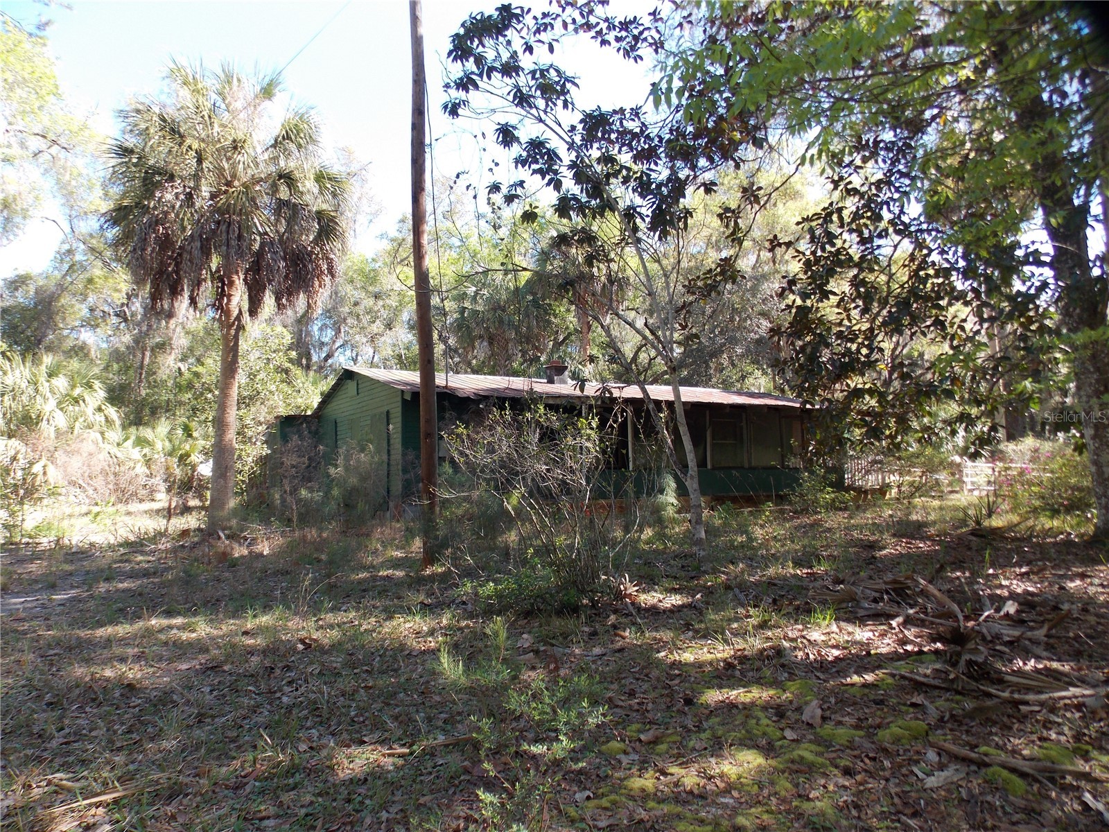 922 SE 119th Avenue Micanopy FL 32667 OM721011 image1