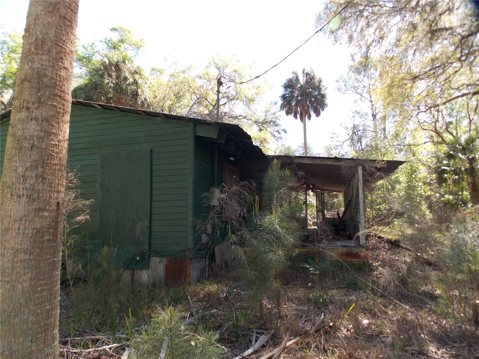 922 SE 119th Avenue Micanopy FL 32667 OM721011 image2