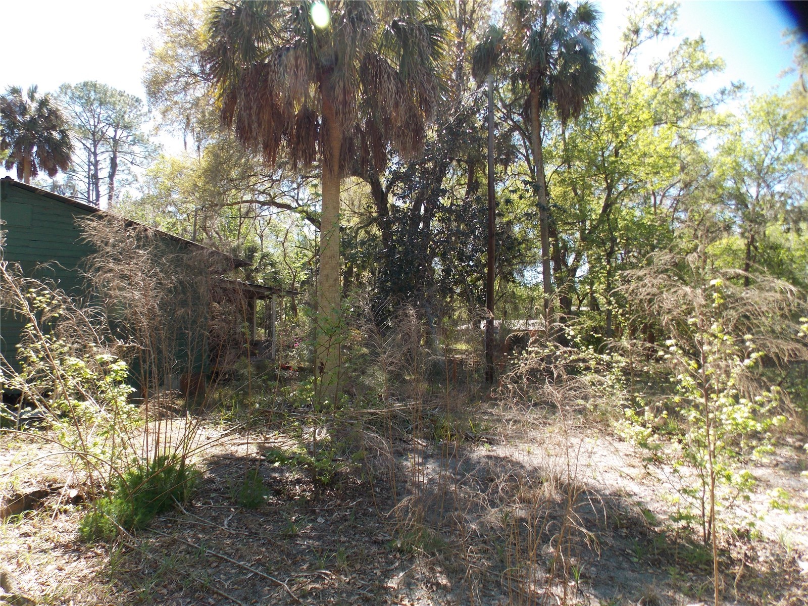 922 SE 119th Avenue Micanopy FL 32667 OM721011 image25
