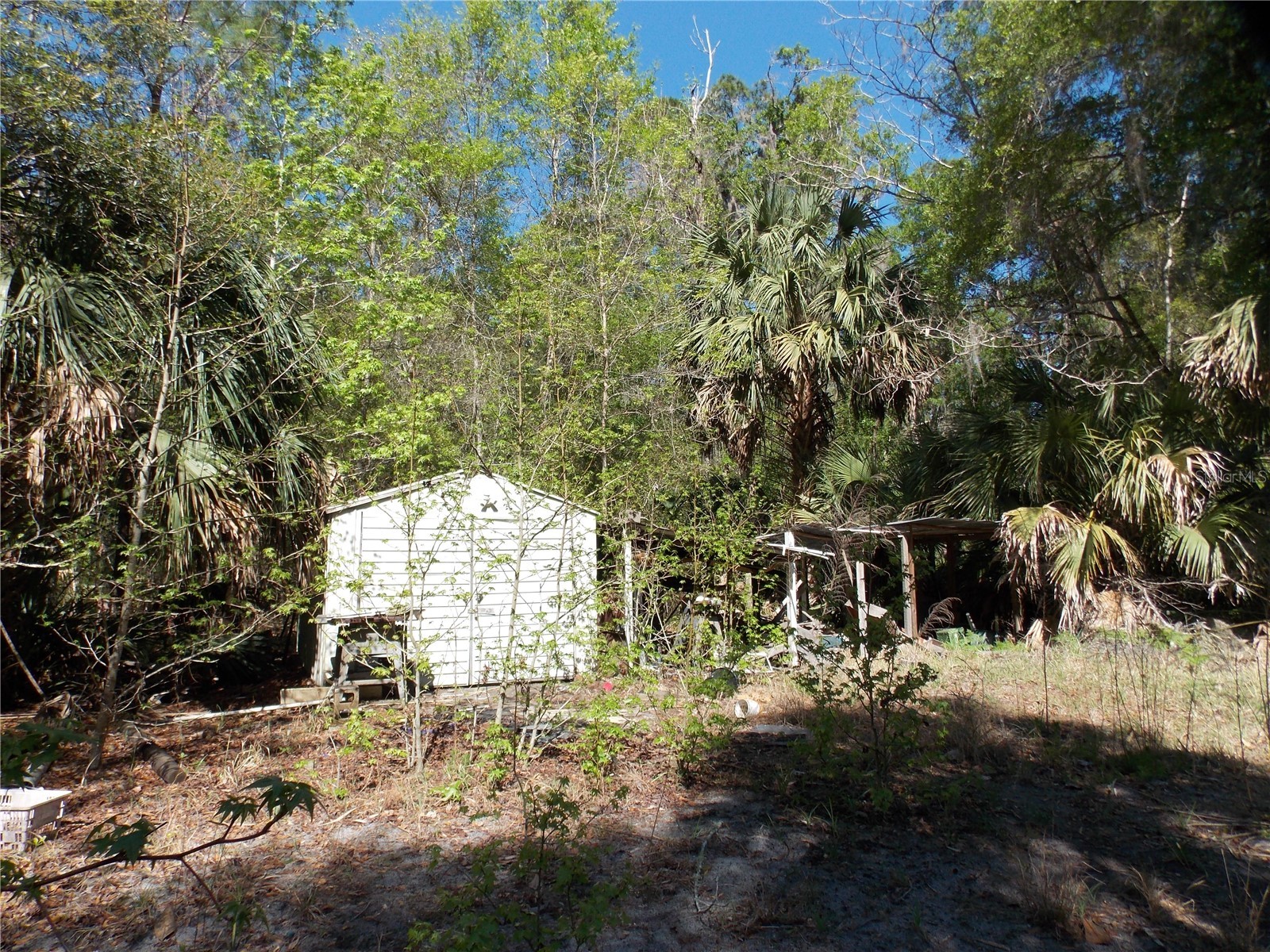 922 SE 119th Avenue Micanopy FL 32667 OM721011 image26