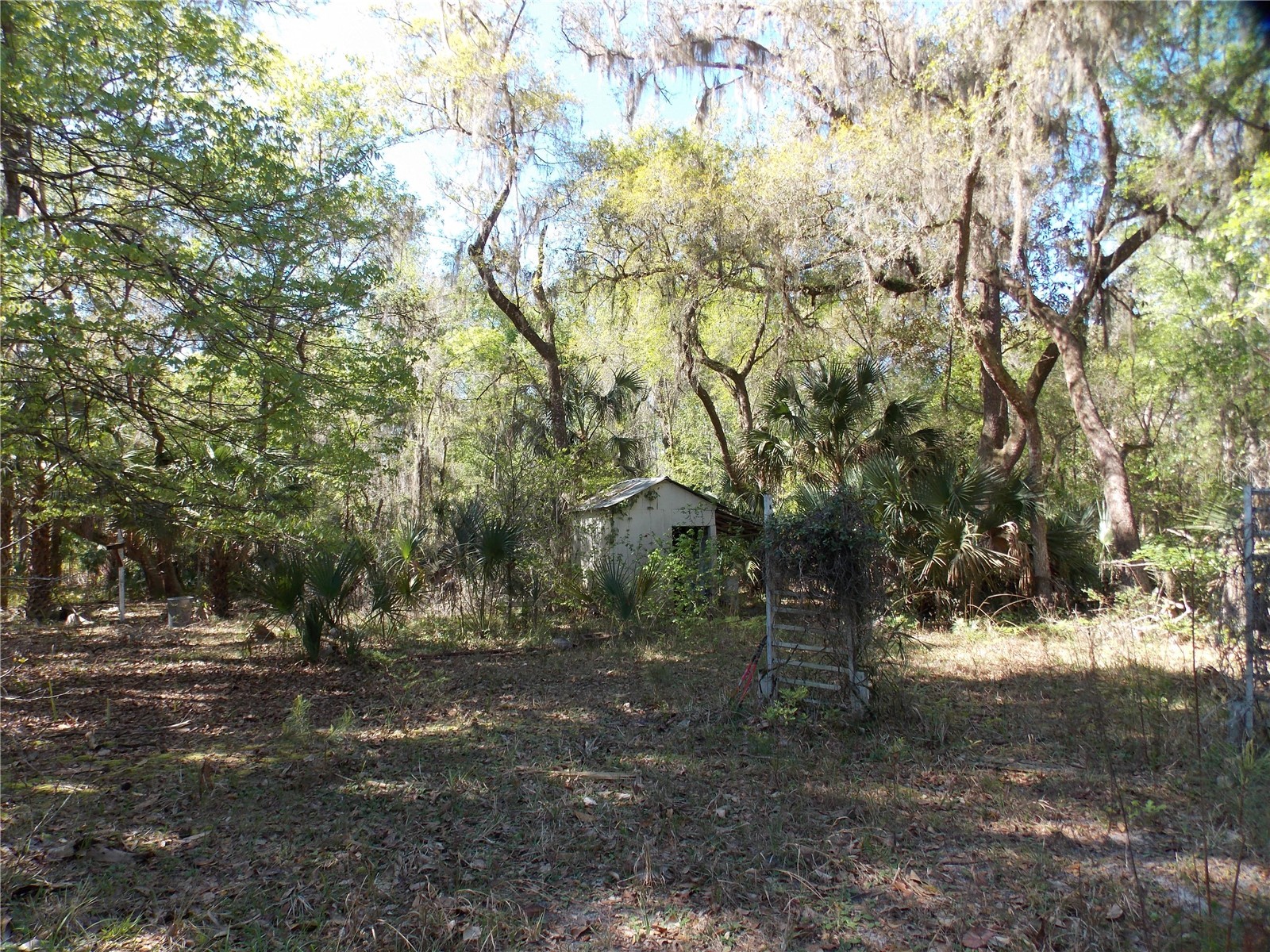 922 SE 119th Avenue Micanopy FL 32667 OM721011 image28