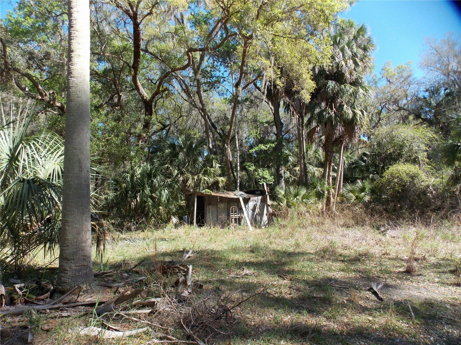 922 SE 119th Avenue Micanopy FL 32667 OM721011 image29