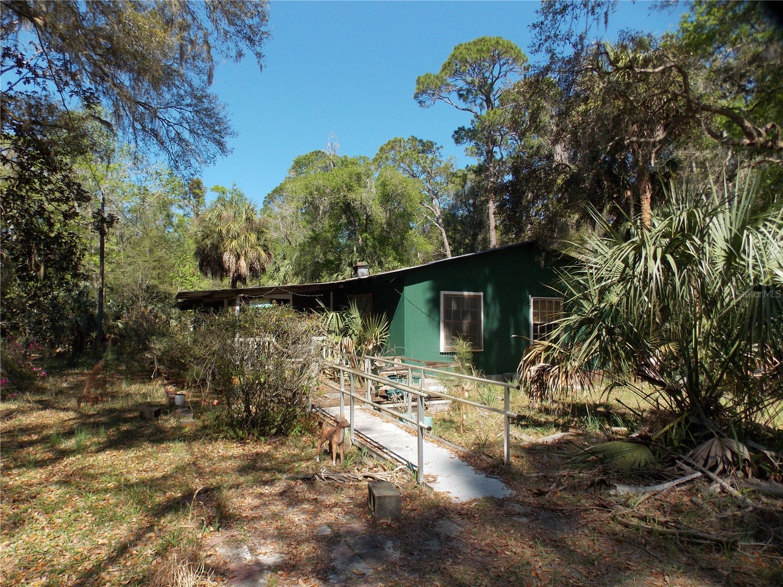 922 SE 119th Avenue Micanopy FL 32667 OM721011 image3