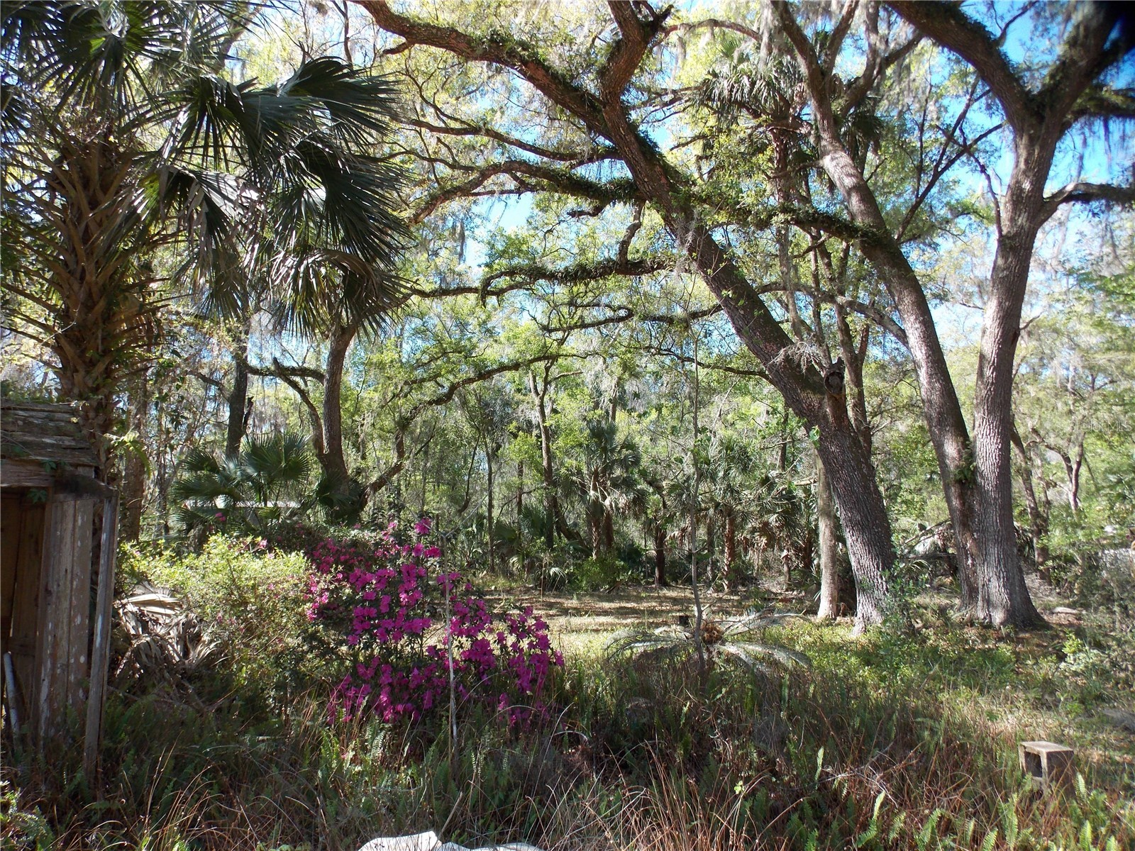 922 SE 119th Avenue Micanopy FL 32667 OM721011 image30
