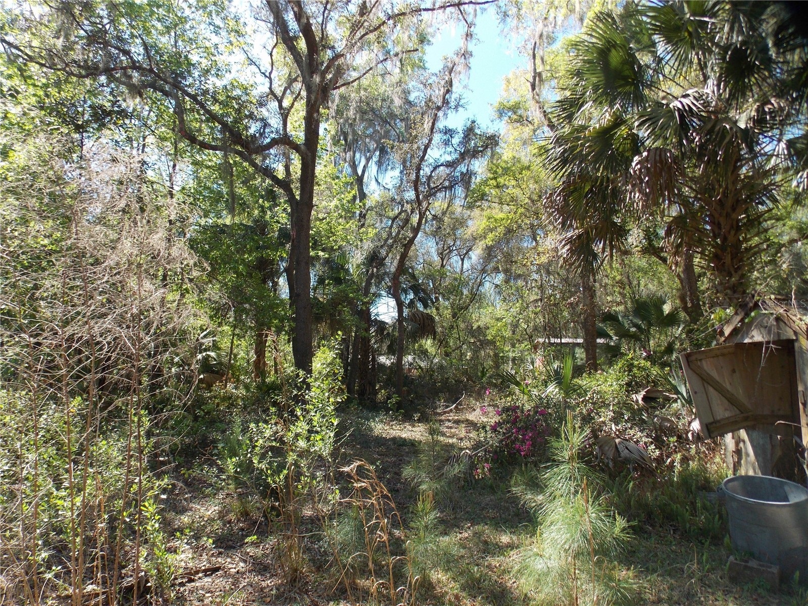 922 SE 119th Avenue Micanopy FL 32667 OM721011 image31