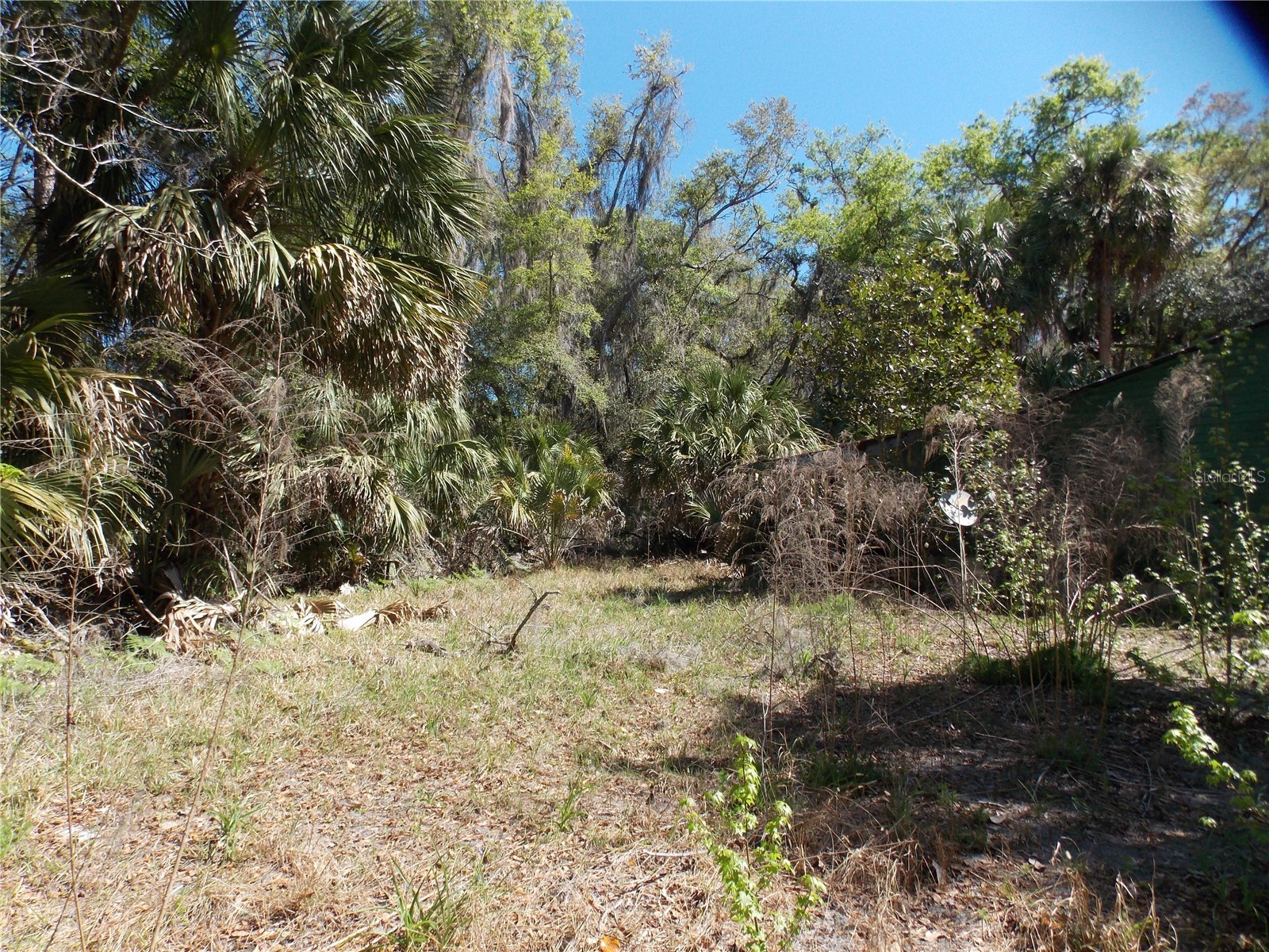 922 SE 119th Avenue Micanopy FL 32667 OM721011 image32
