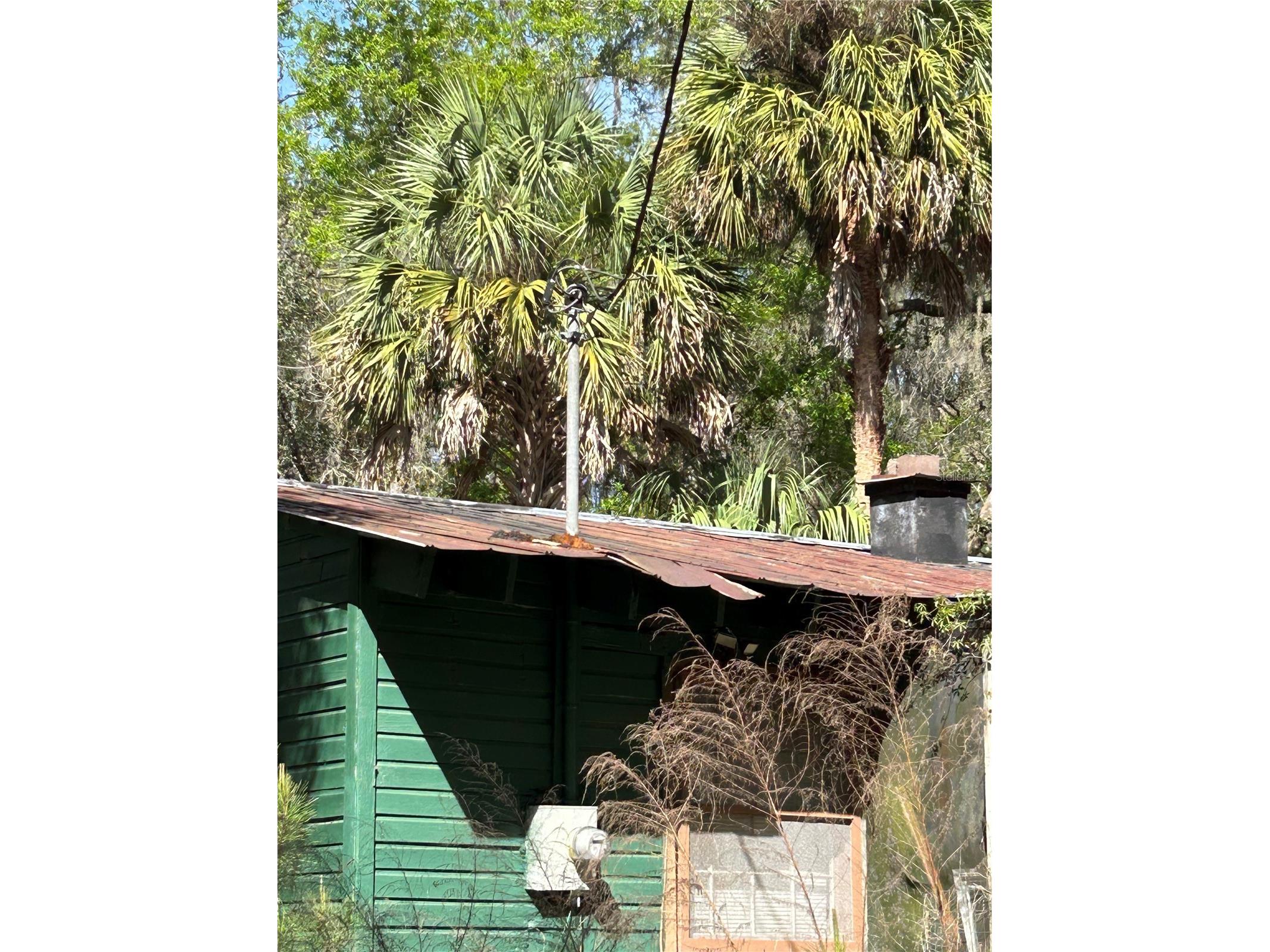 922 SE 119th Avenue Micanopy FL 32667 OM721011 image33