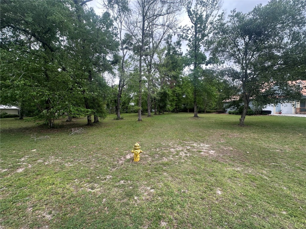 9220 Emily Drive Fanning Springs FL 32693 GC529789 image2