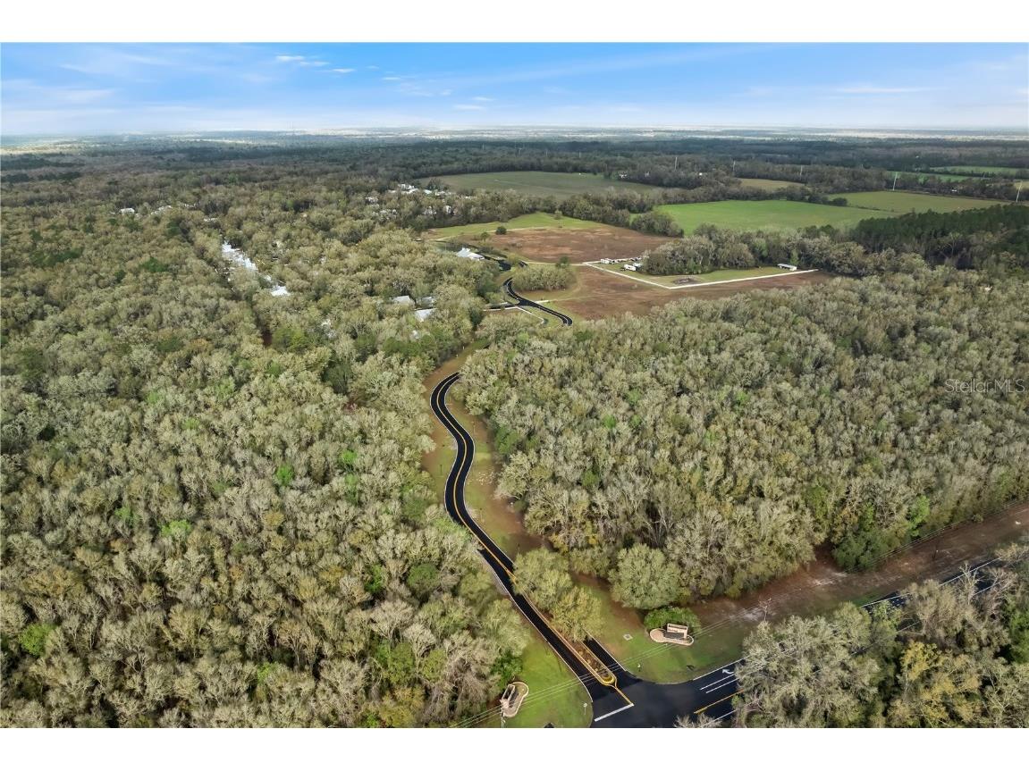 9220 Emily Drive Fanning Springs FL 32693 GC529789 image20