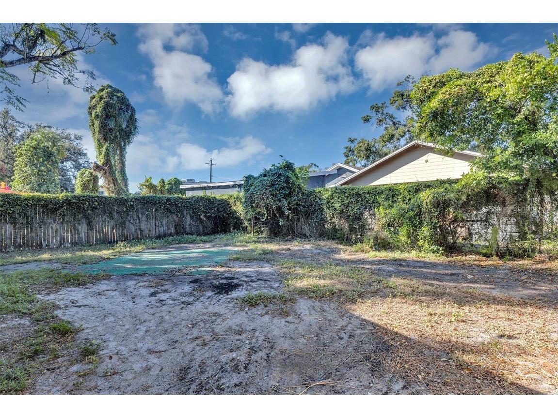 9220 N 13th Street #A & B Tampa FL 33612 O6366585 image25