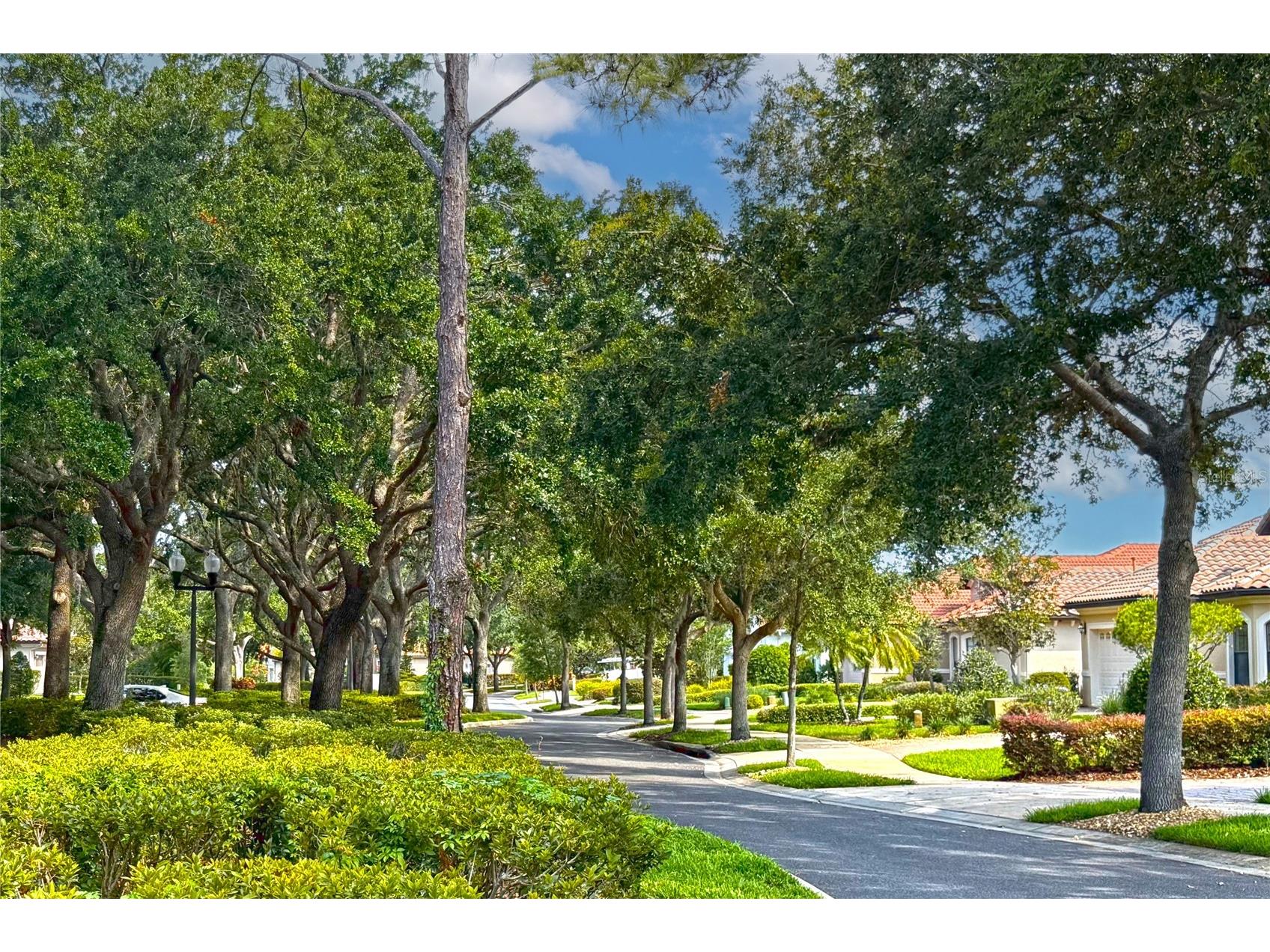9220 San Jose Boulevard Howey In The Hills FL 34737 G5108442 image32
