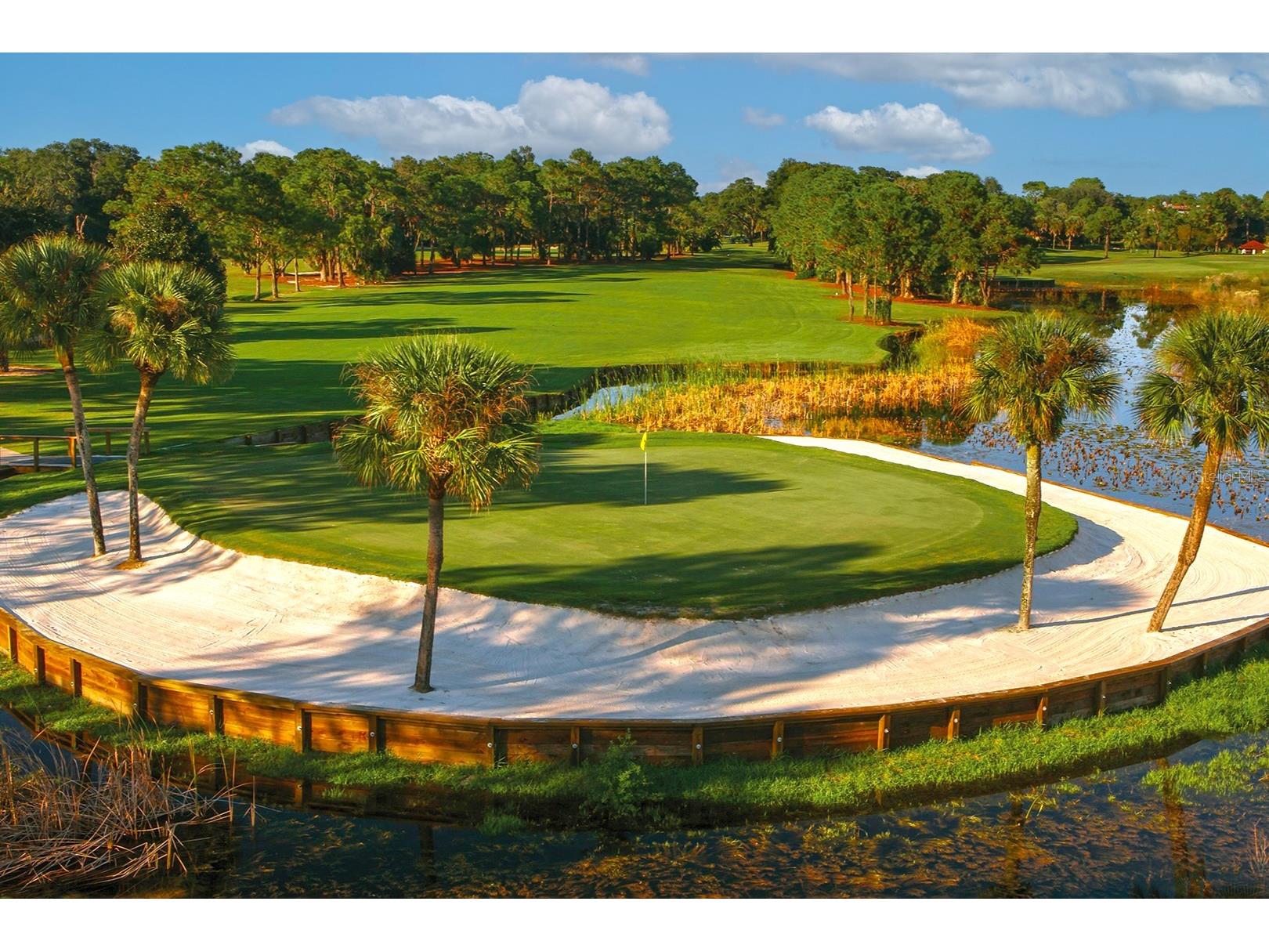 9220 San Jose Boulevard Howey In The Hills FL 34737 G5108442 image42