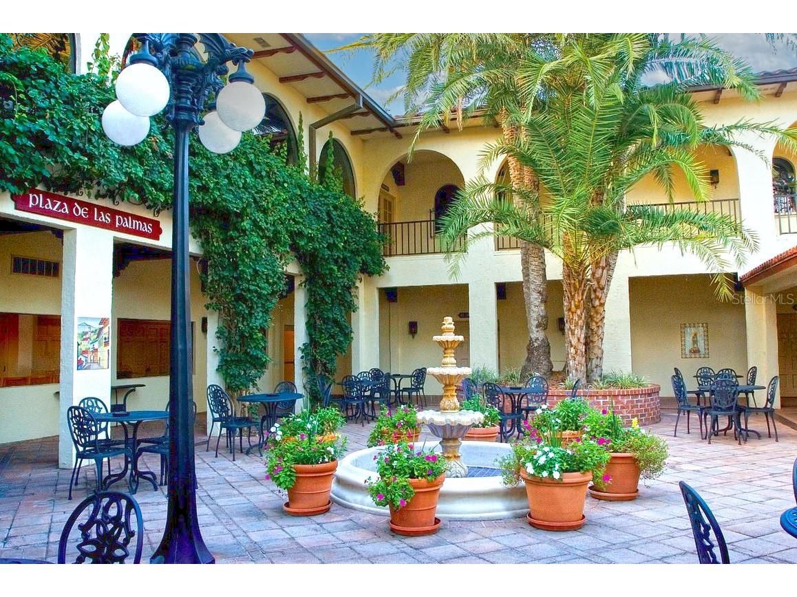 9220 San Jose Boulevard Howey In The Hills FL 34737 G5108442 image43