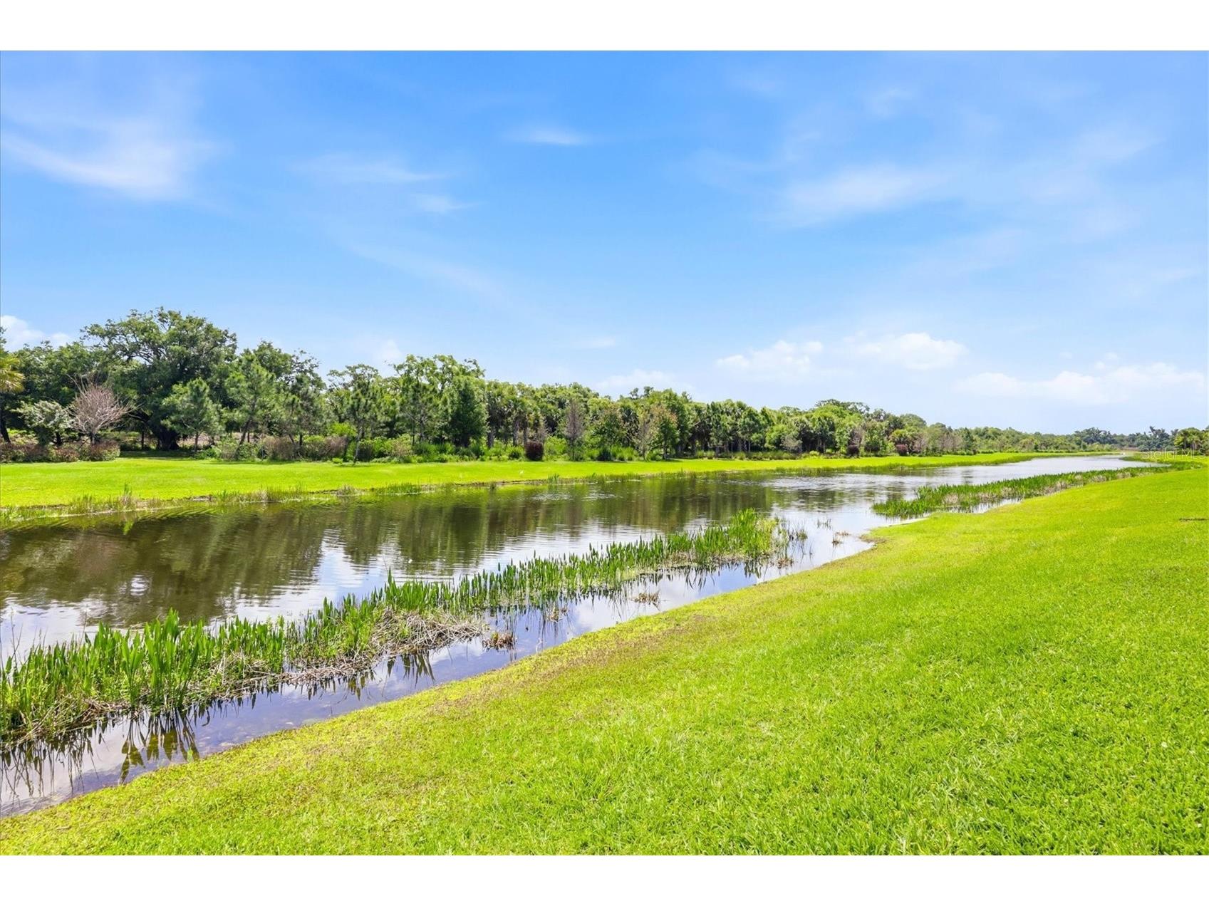 9221 Bernini Place Sarasota FL 34240 A4688126 image54