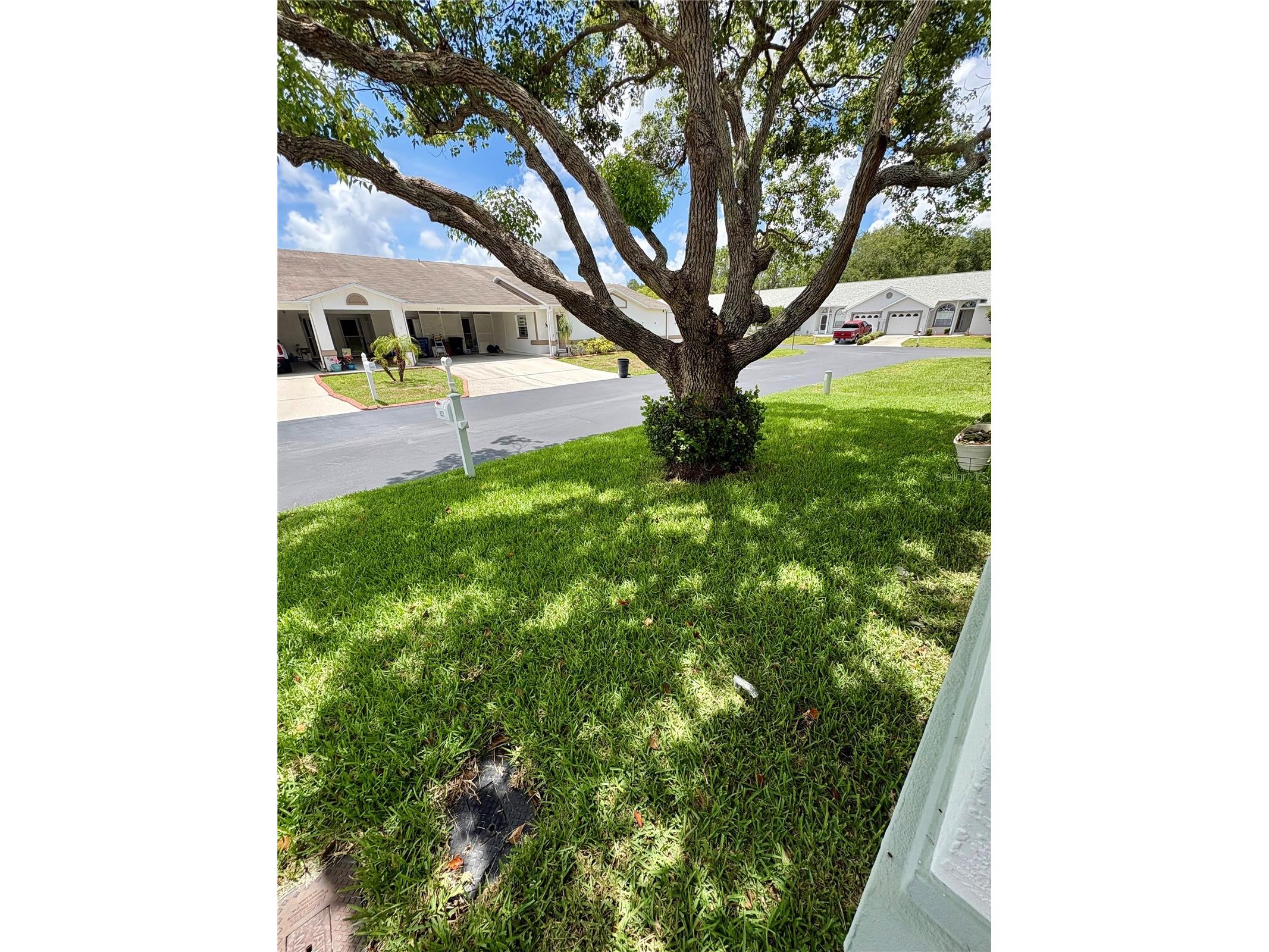 9221 Estrada Place New Port Richey FL 34655 TB8523066 image2
