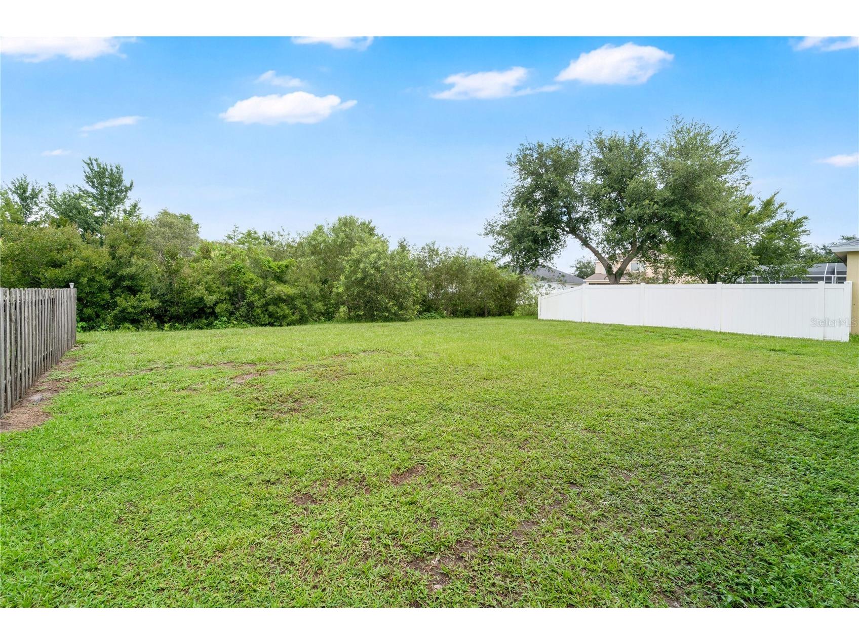 9221 Lost Mill Drive Land O Lakes FL 34638 O6420032 image37