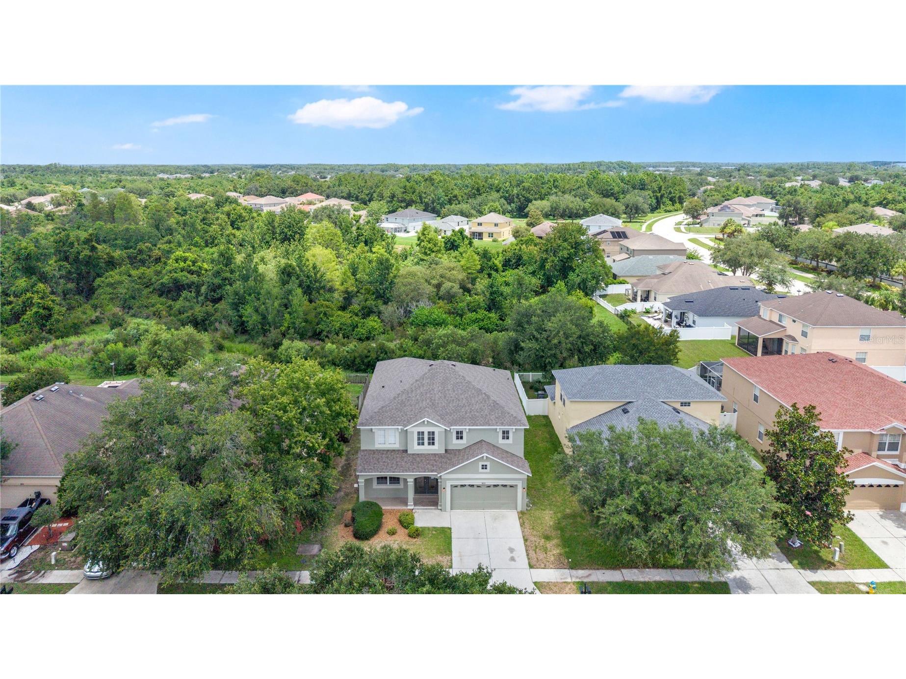 9221 Lost Mill Drive Land O Lakes FL 34638 O6420032 image40