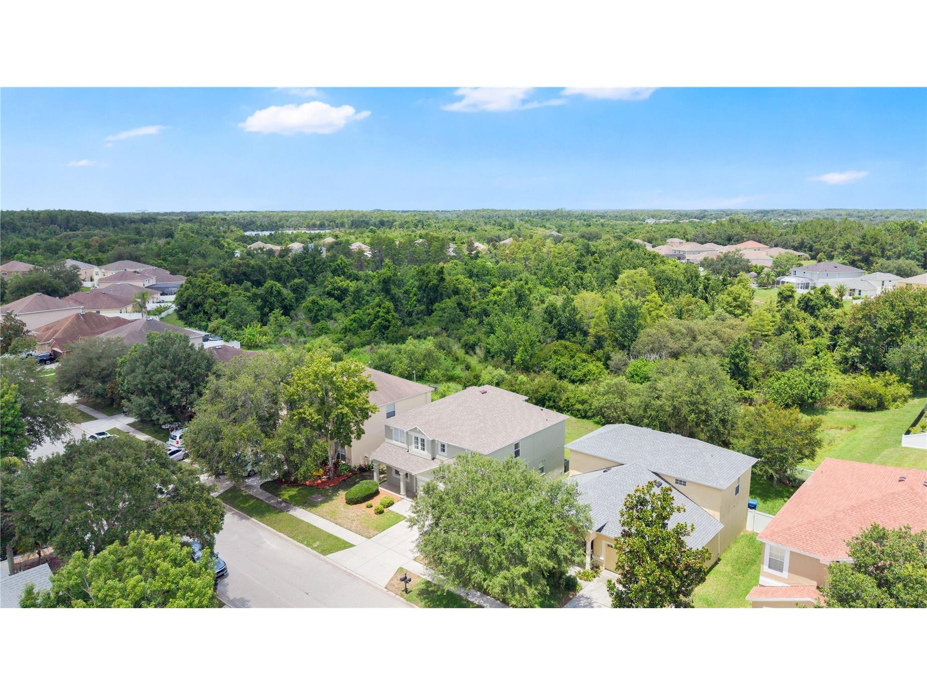 9221 Lost Mill Drive Land O Lakes FL 34638 O6420032 image41