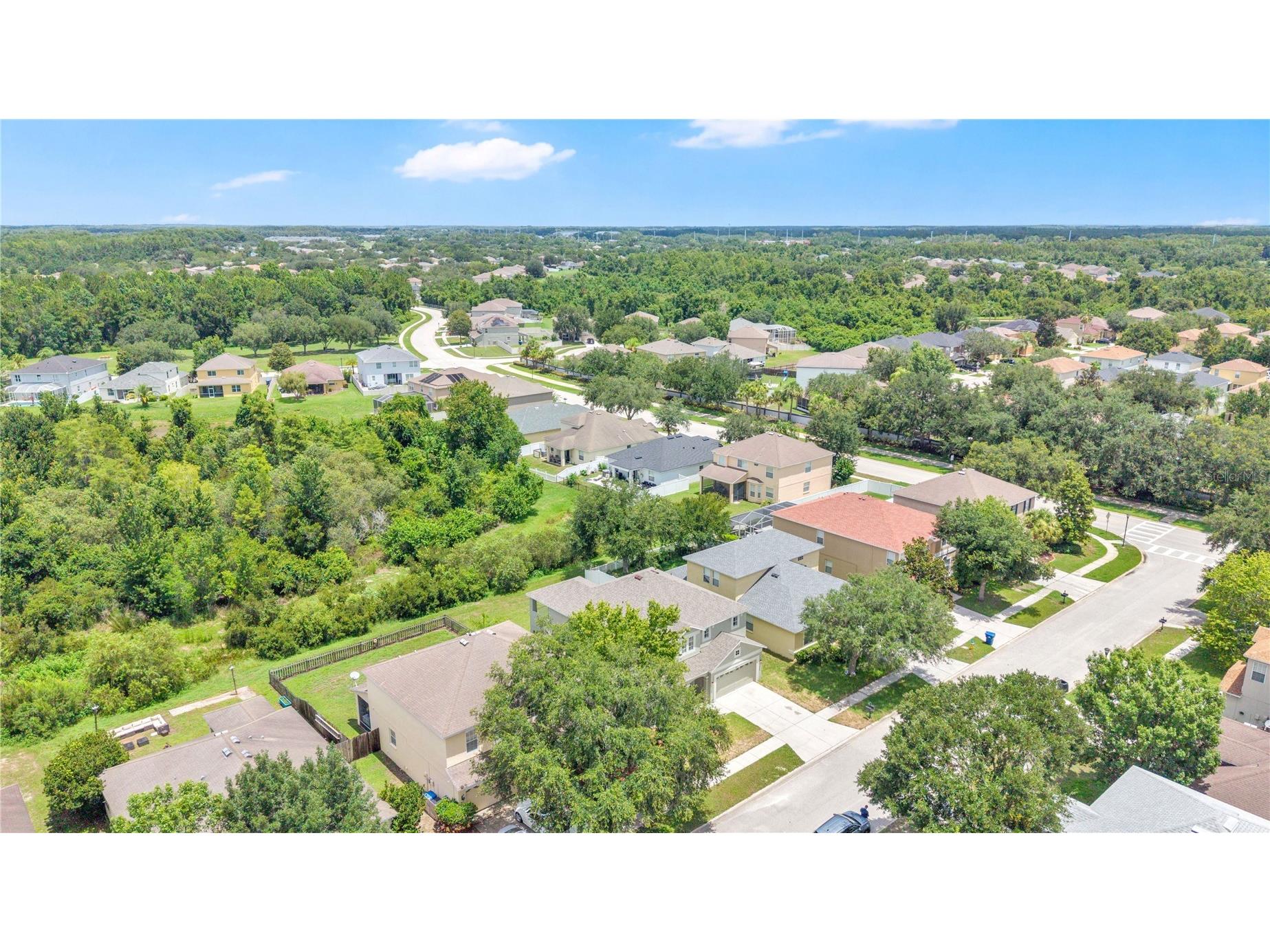 9221 Lost Mill Drive Land O Lakes FL 34638 O6420032 image44