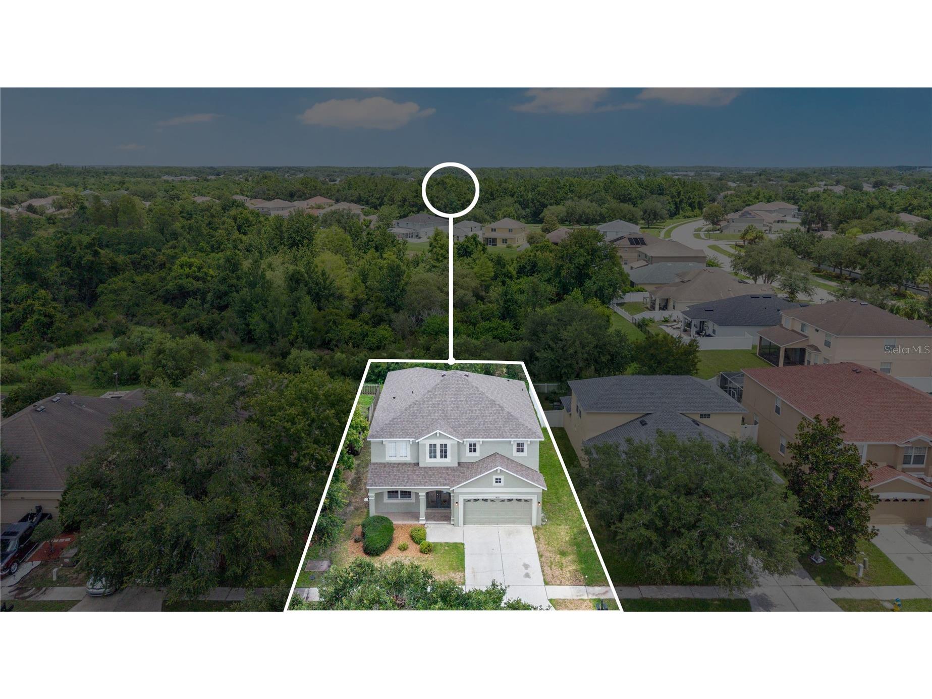 9221 Lost Mill Drive Land O Lakes FL 34638 O6420032 image47