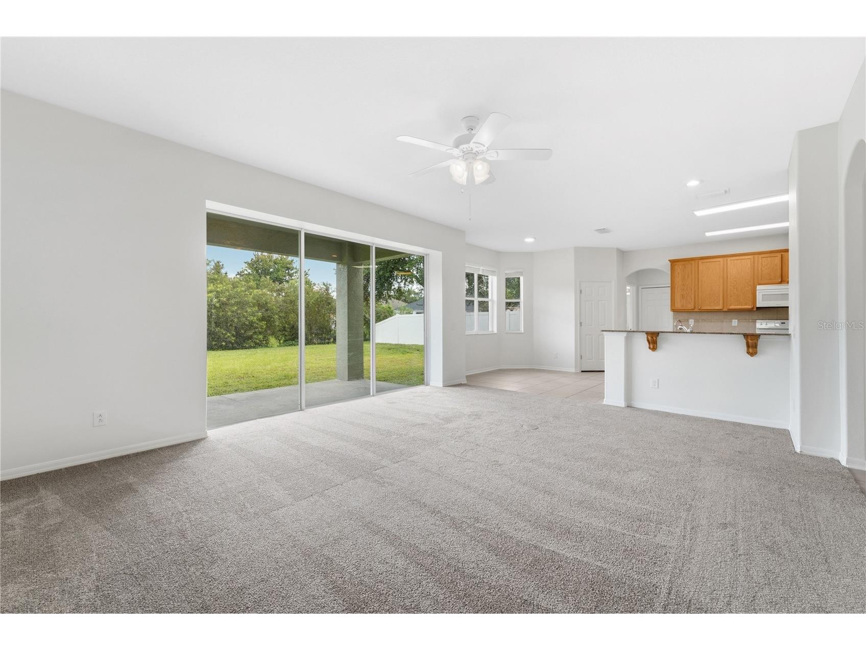 9221 Lost Mill Drive Land O Lakes FL 34638 O6420032 image6