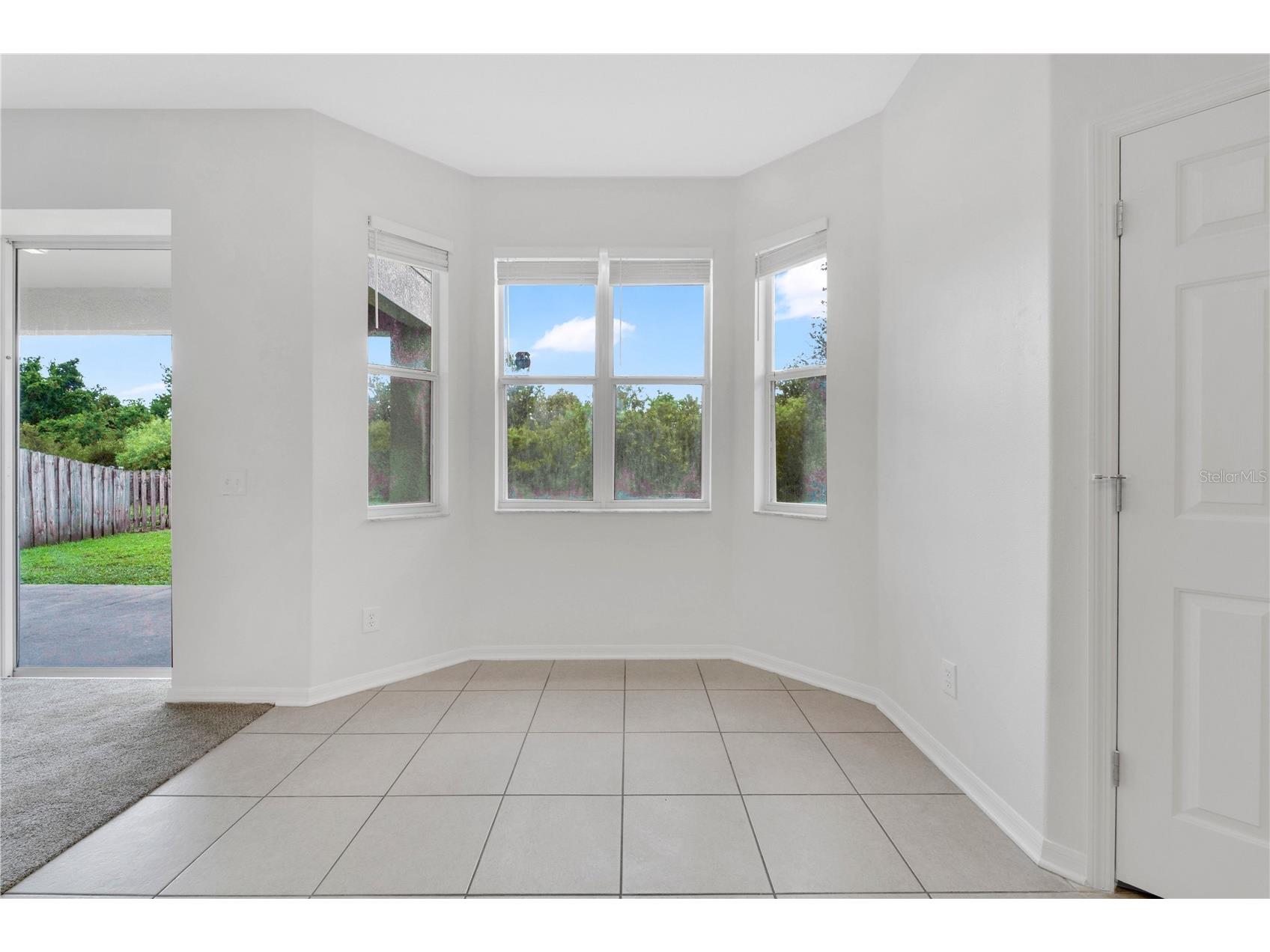 9221 Lost Mill Drive Land O Lakes FL 34638 O6420032 image9