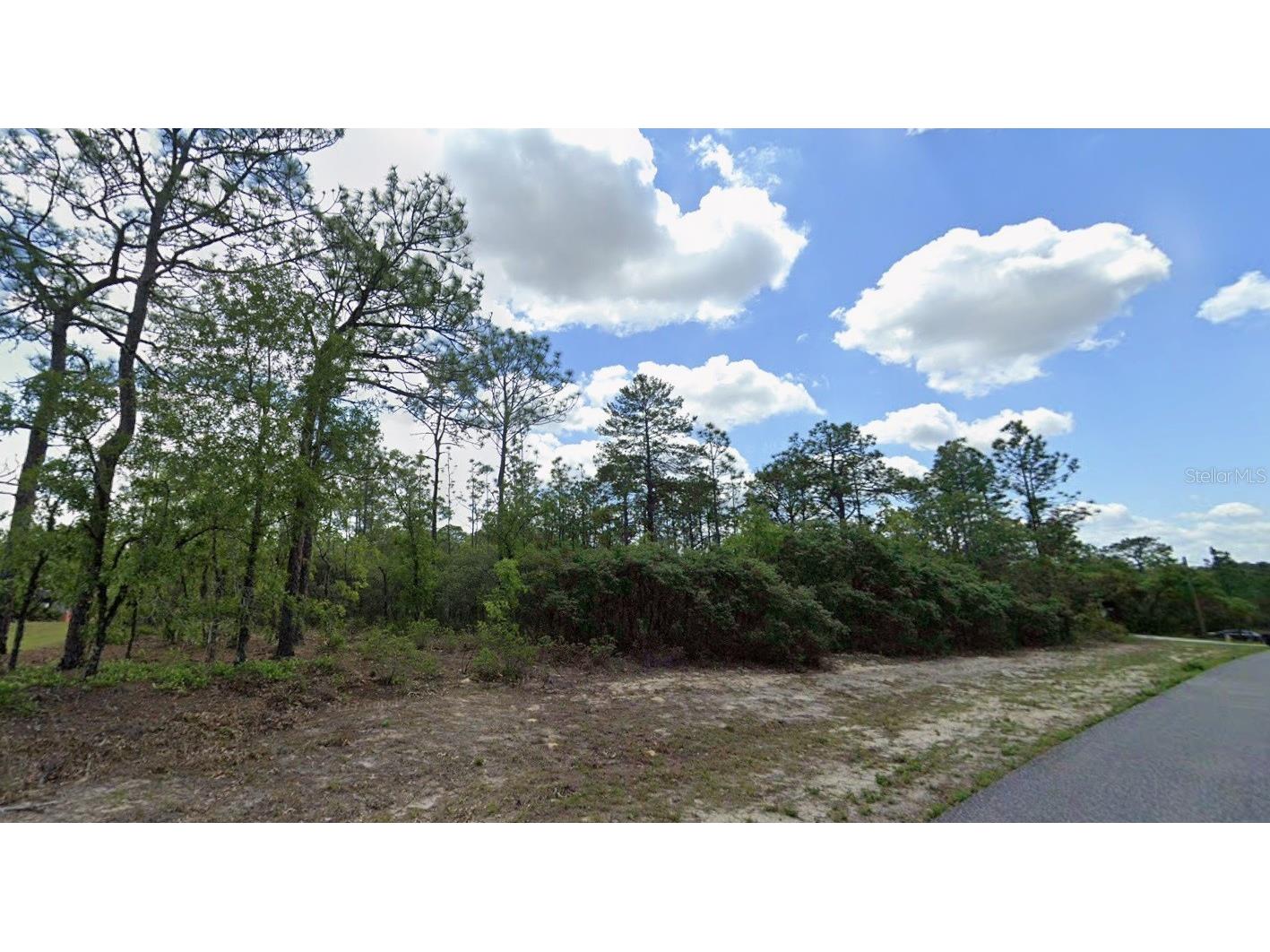 9221 N Paradisea Drive Citrus Springs FL 34433 TB8466586 image1