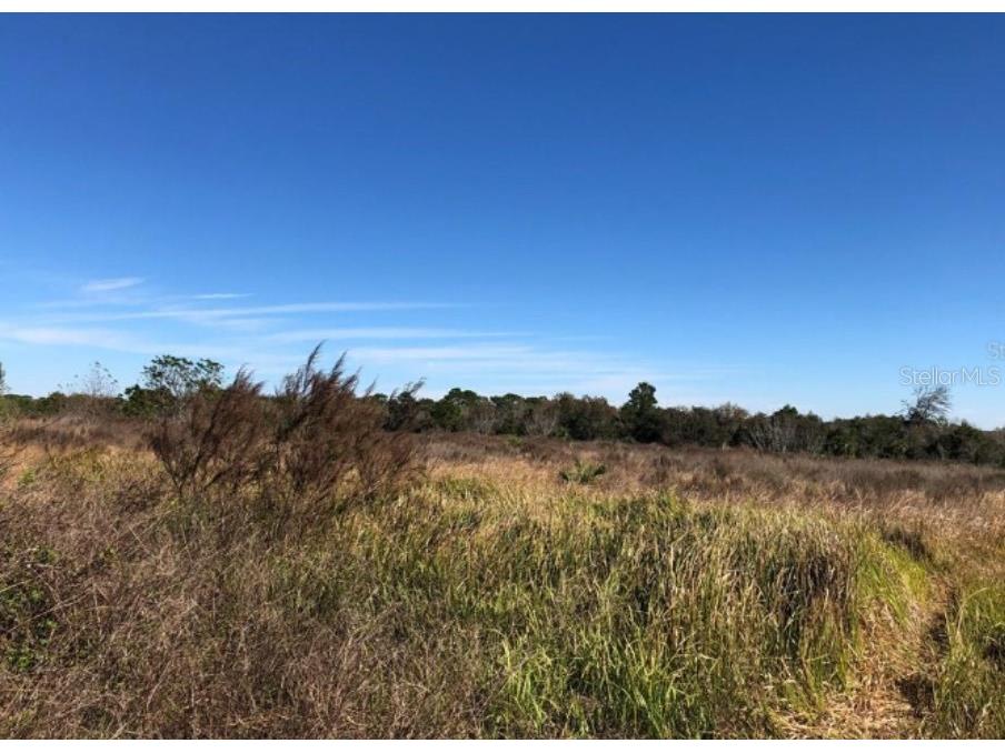 9221 New York Avenue Hudson FL 34667 TB8313141 image6