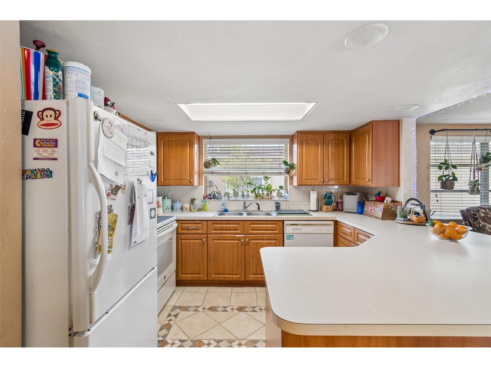 9221 Rainbow Lane Port Richey FL 34668 TB8513845 image21