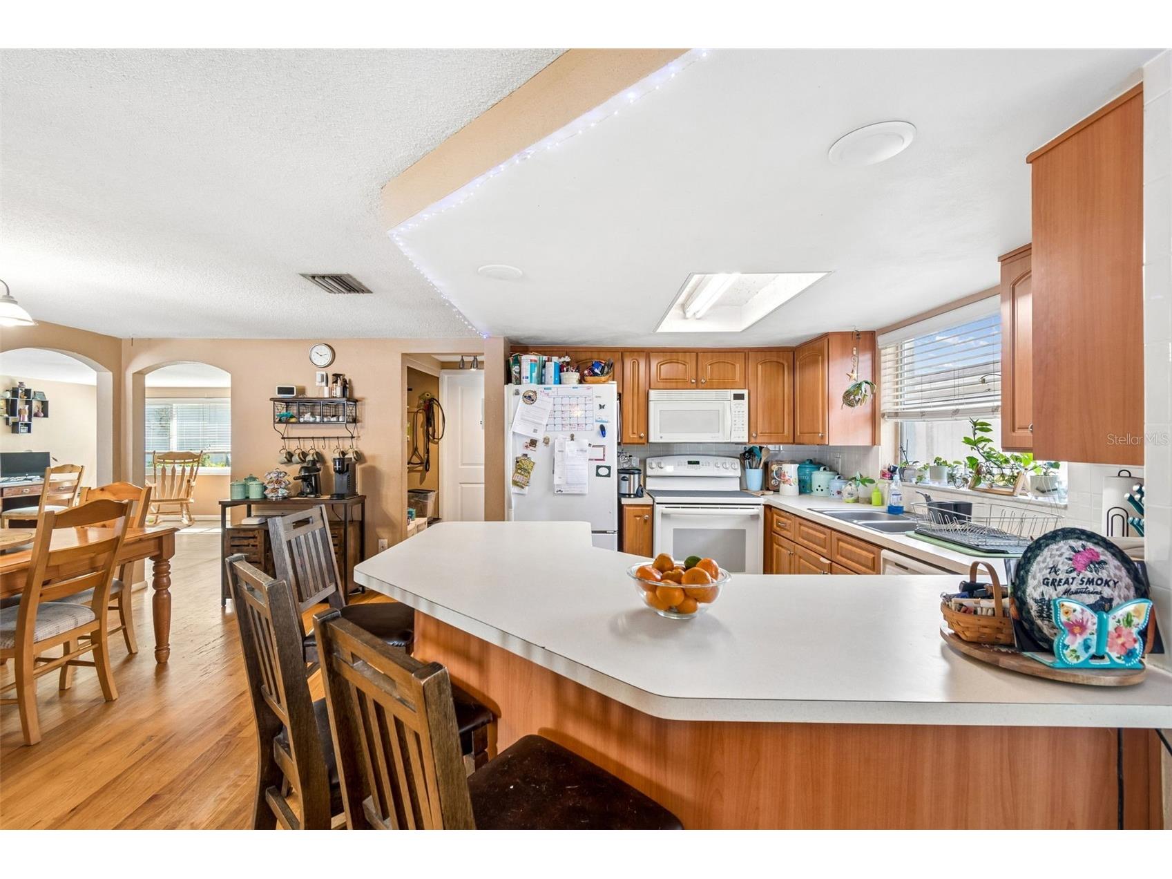 9221 Rainbow Lane Port Richey FL 34668 TB8513845 image23