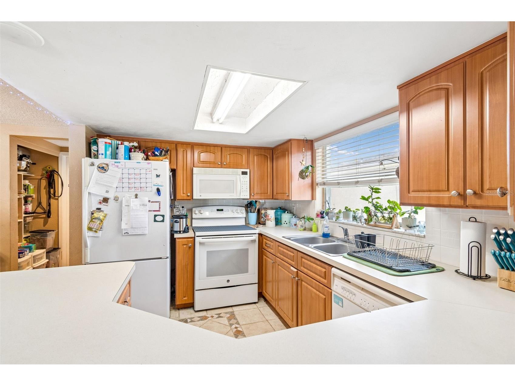 9221 Rainbow Lane Port Richey FL 34668 TB8513845 image24