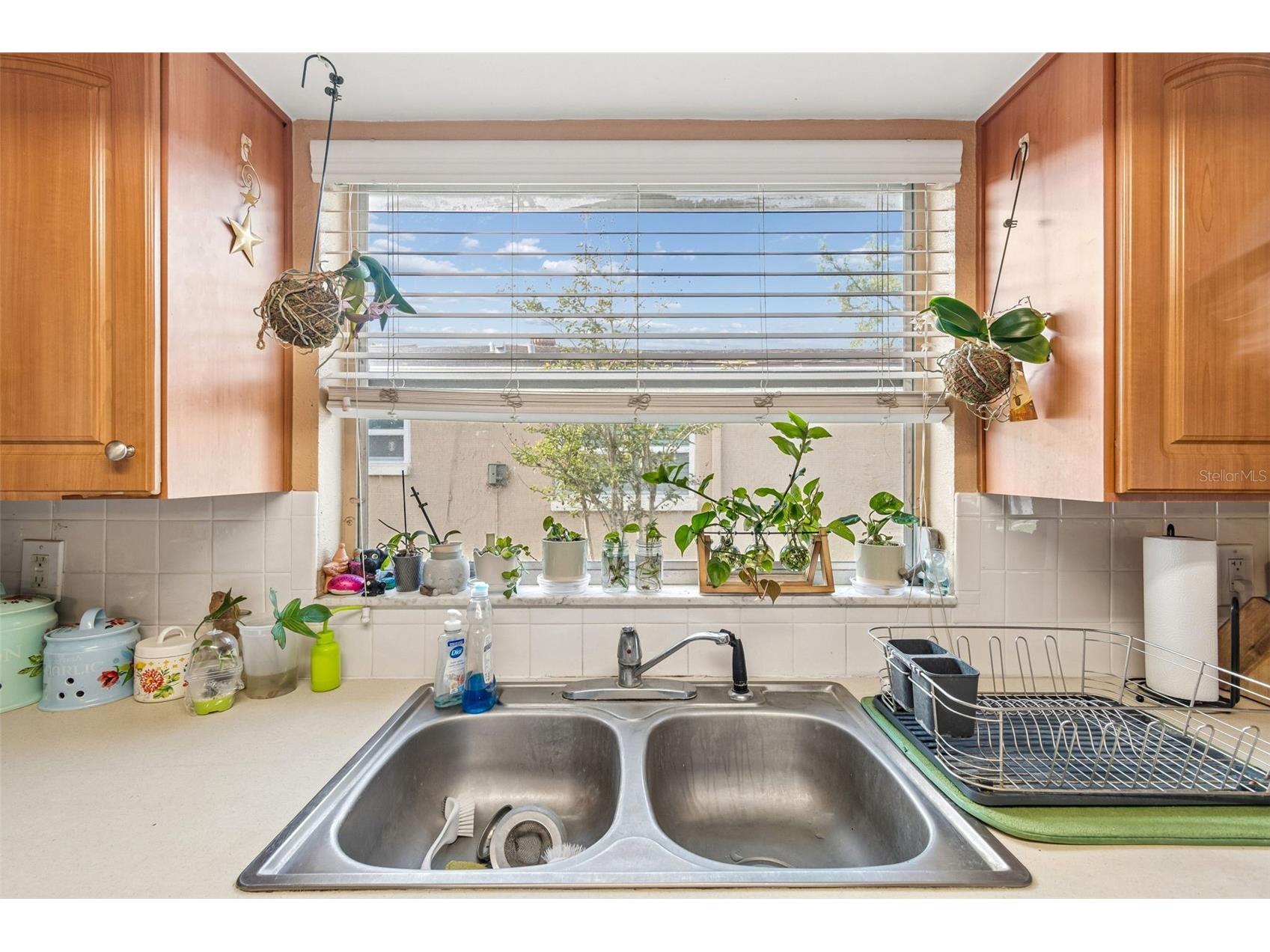 9221 Rainbow Lane Port Richey FL 34668 TB8513845 image26