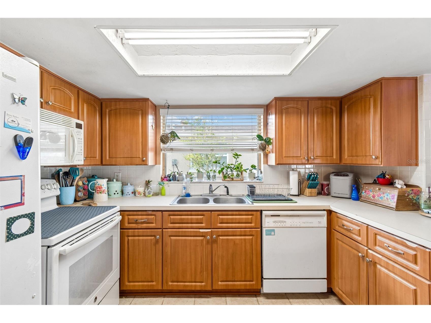 9221 Rainbow Lane Port Richey FL 34668 TB8513845 image27