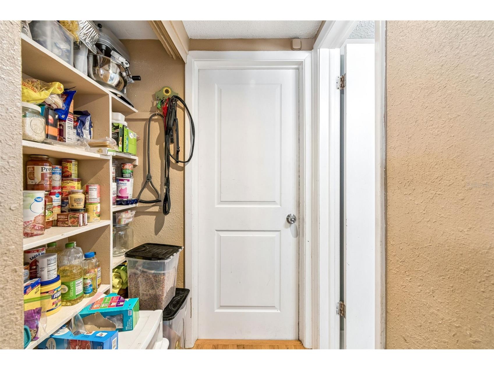 9221 Rainbow Lane Port Richey FL 34668 TB8513845 image35