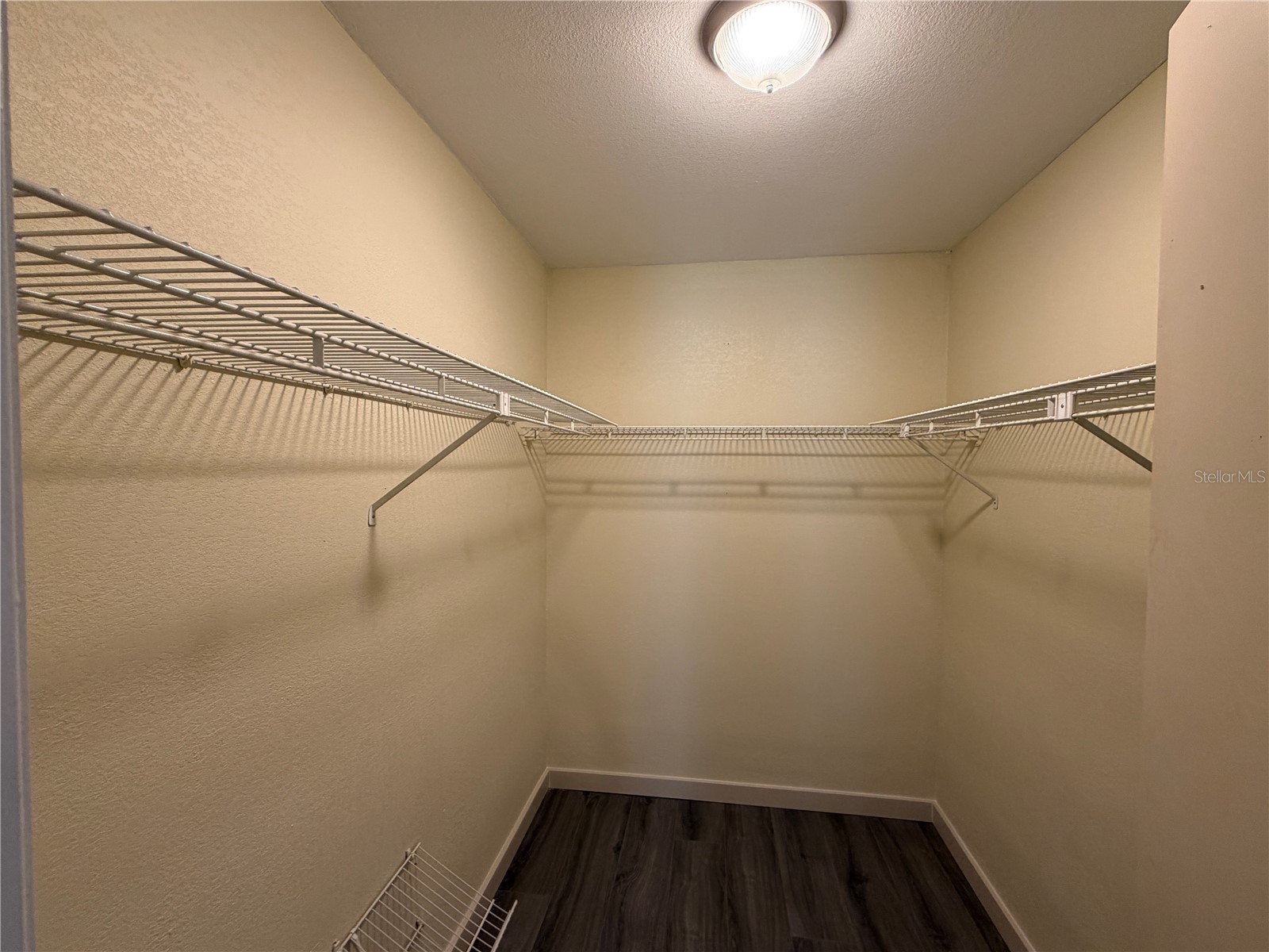 9221 Repondo Place New Port Richey FL 34655 W7879732 image23