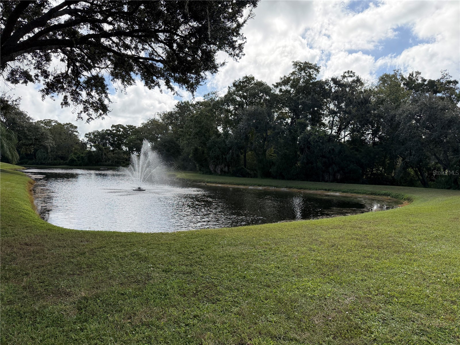 9221 Repondo Place New Port Richey FL 34655 W7879732 image34