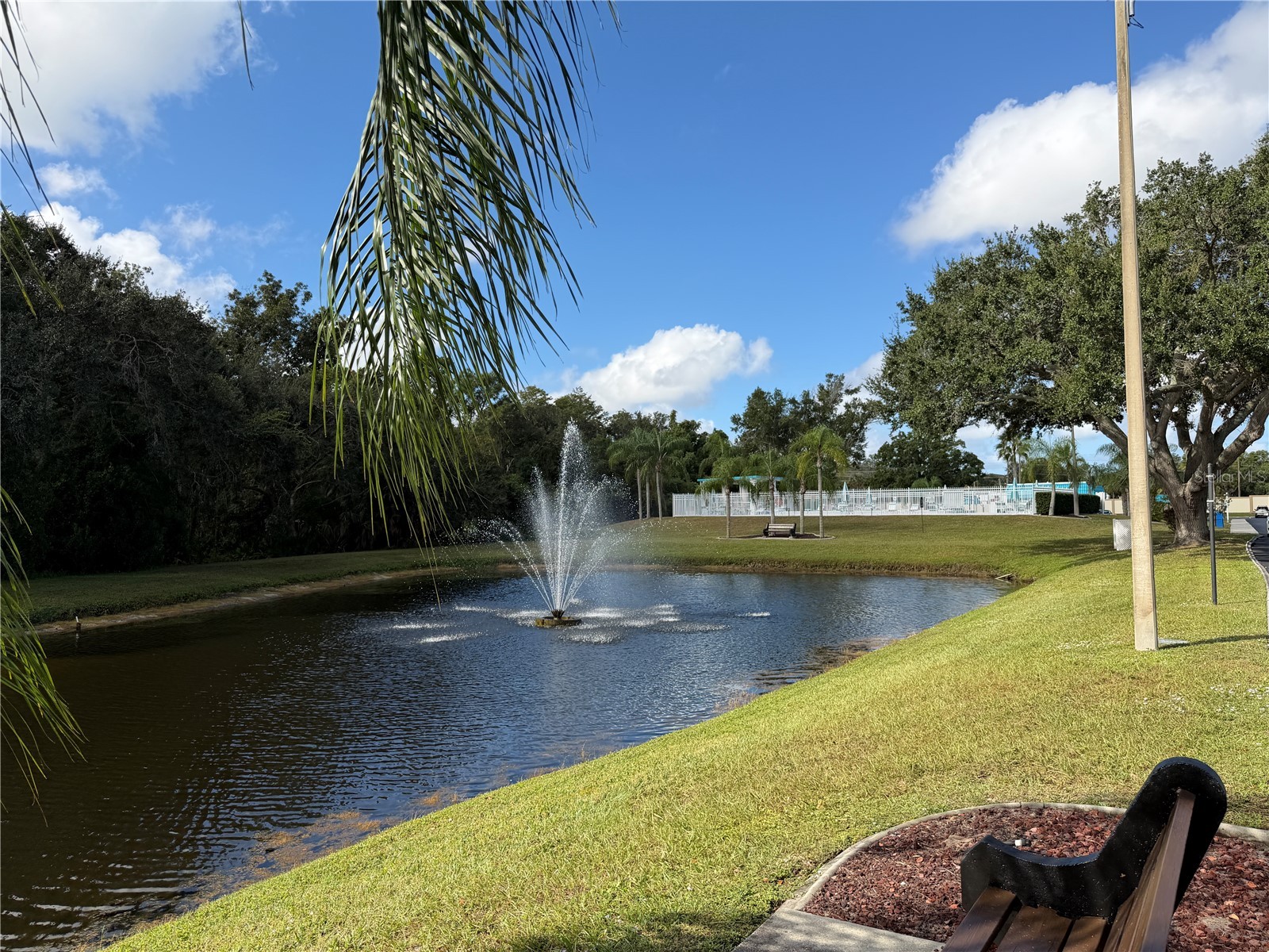 9221 Repondo Place New Port Richey FL 34655 W7879732 image39