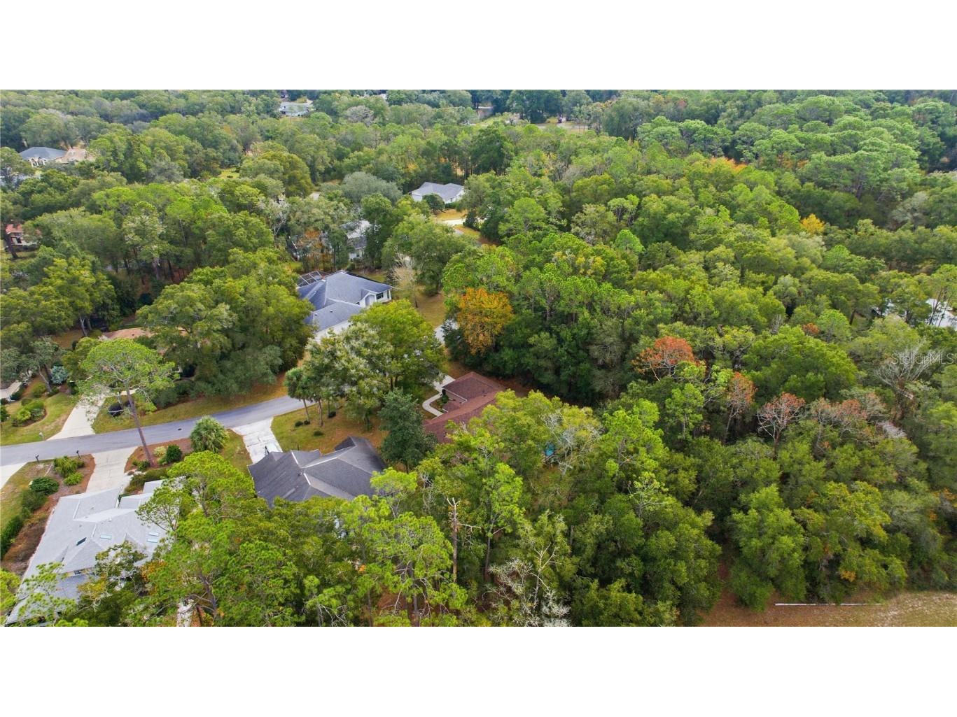 9221 SW 193rd Circle Dunnellon FL 34432 - RAINBOW RIVER OM709061 image10